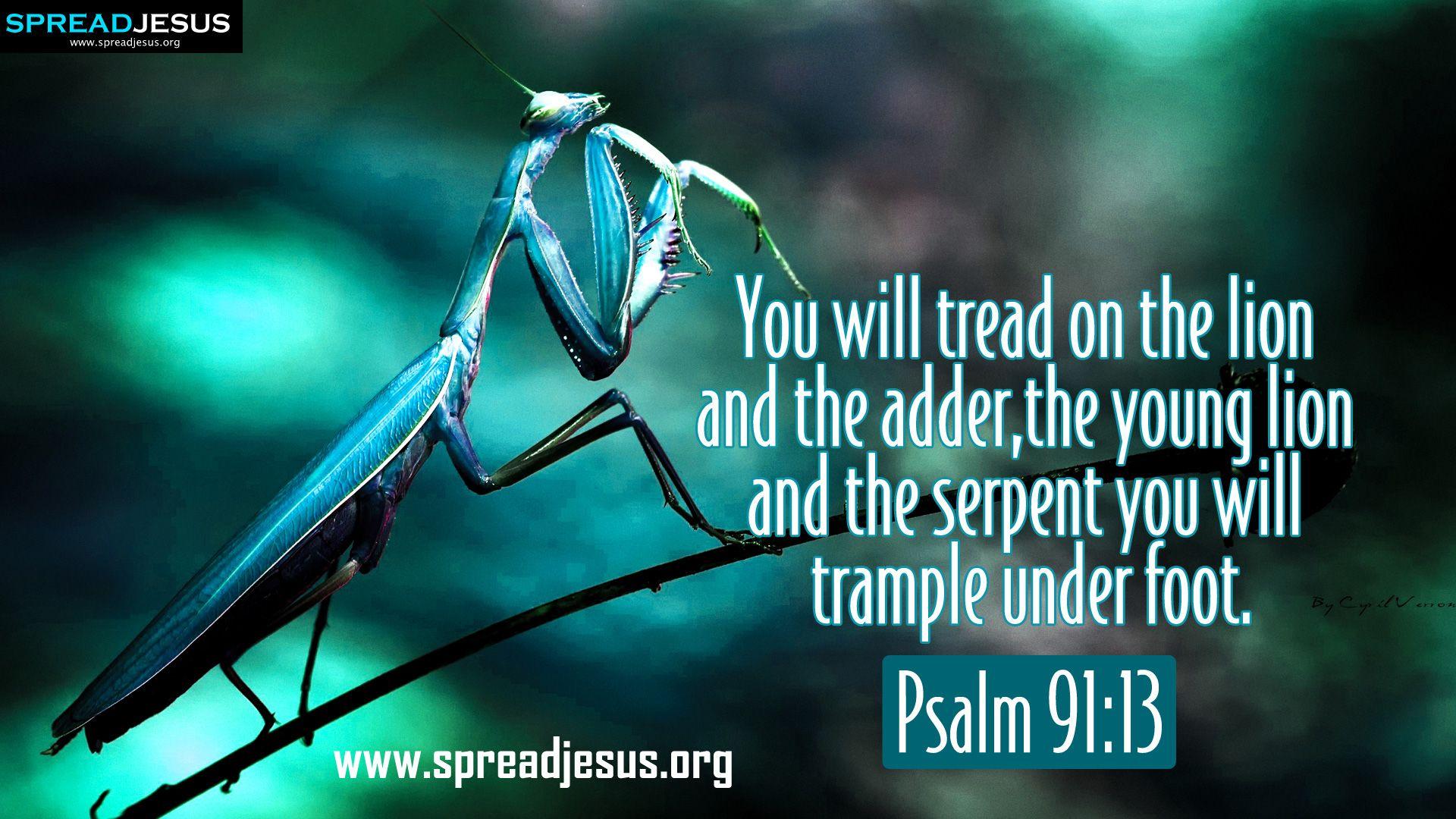 1920x1080 Bible Quotes From The Lion. QuotesGram