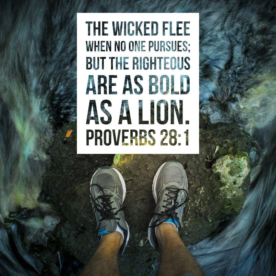 1080x1080 Proverbs 28:1 as a Lion Download Verses To Go