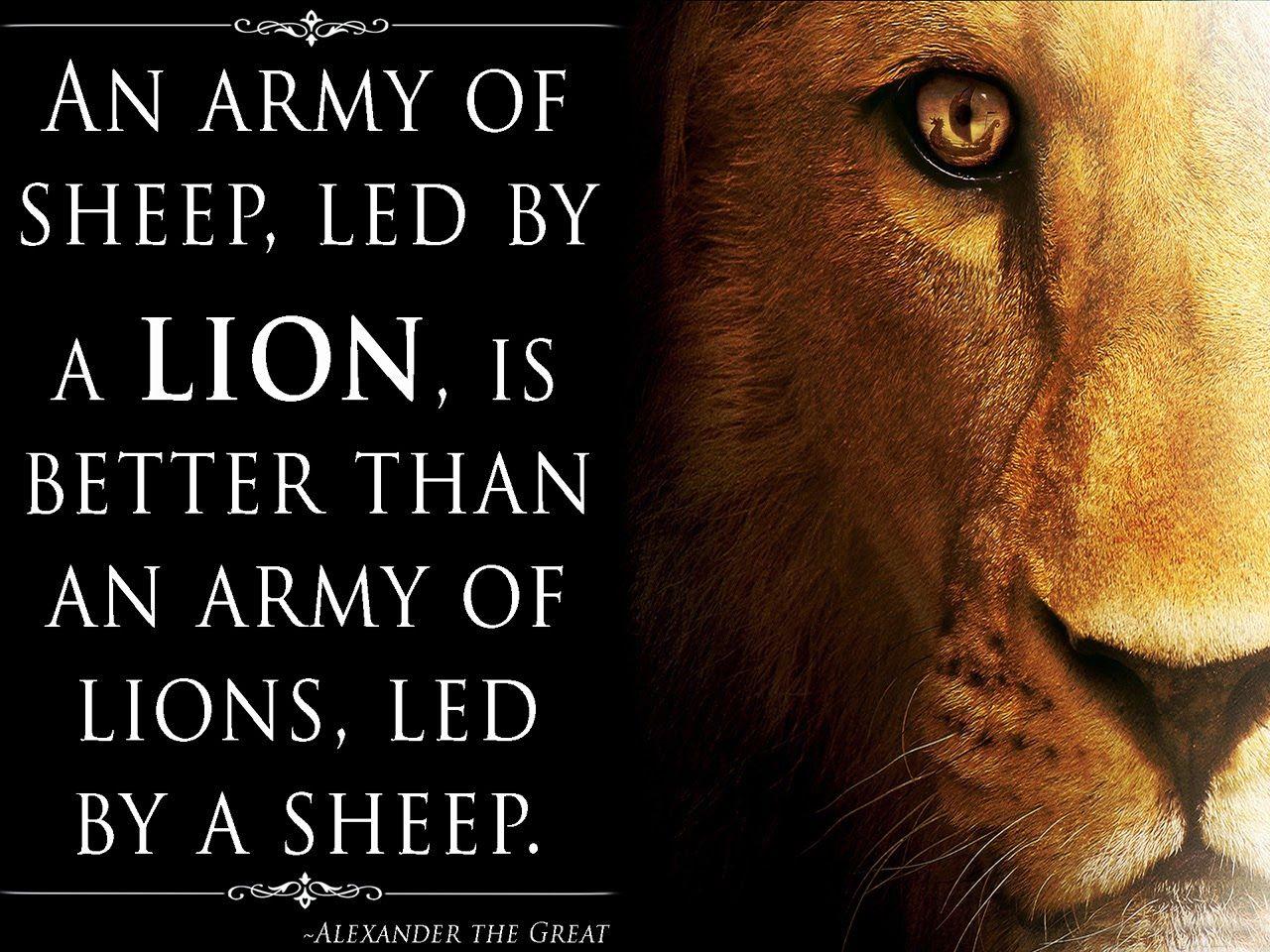 1280x960 Best Lion Quotes .