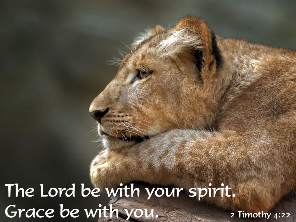 1024x768 Bible_quoted_pics's image. Bible quotes image, Bible quotes, Lion quotes