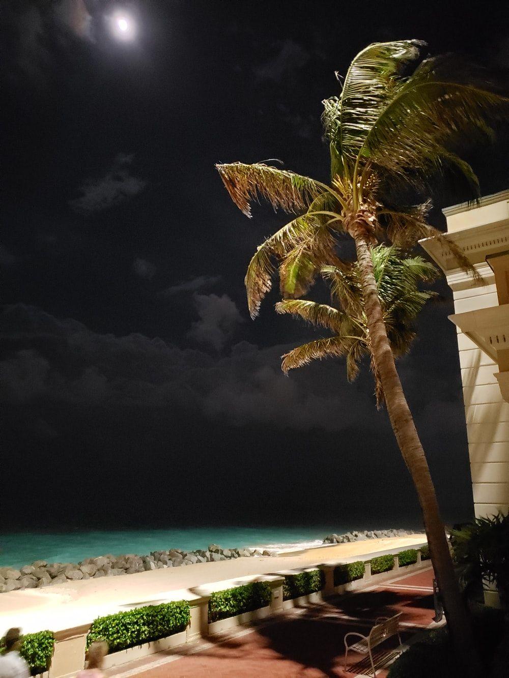1000x1333 West Palm Beach Picture. Download Free Image