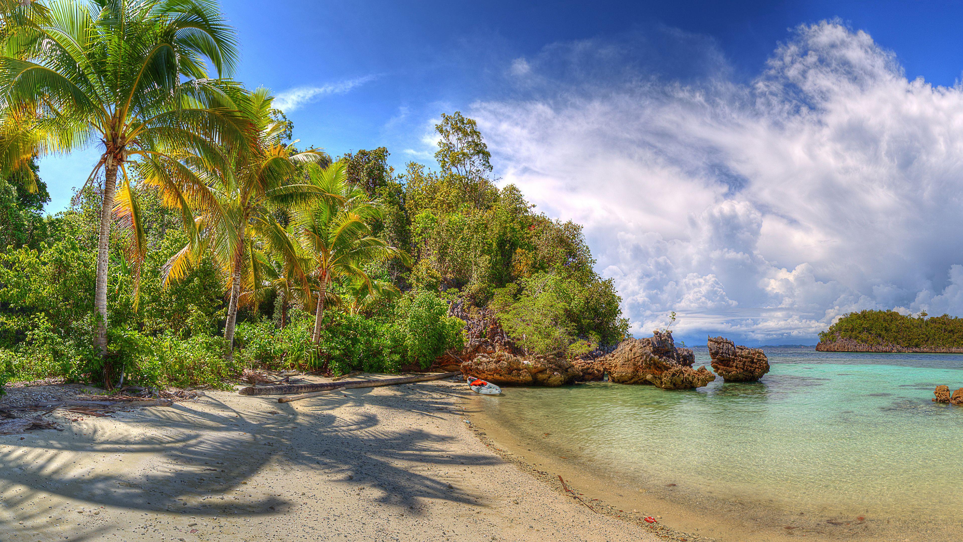 3840x2160 Photos Indonesia Lelintah West Papua beaches Nature Palms 3840x2160