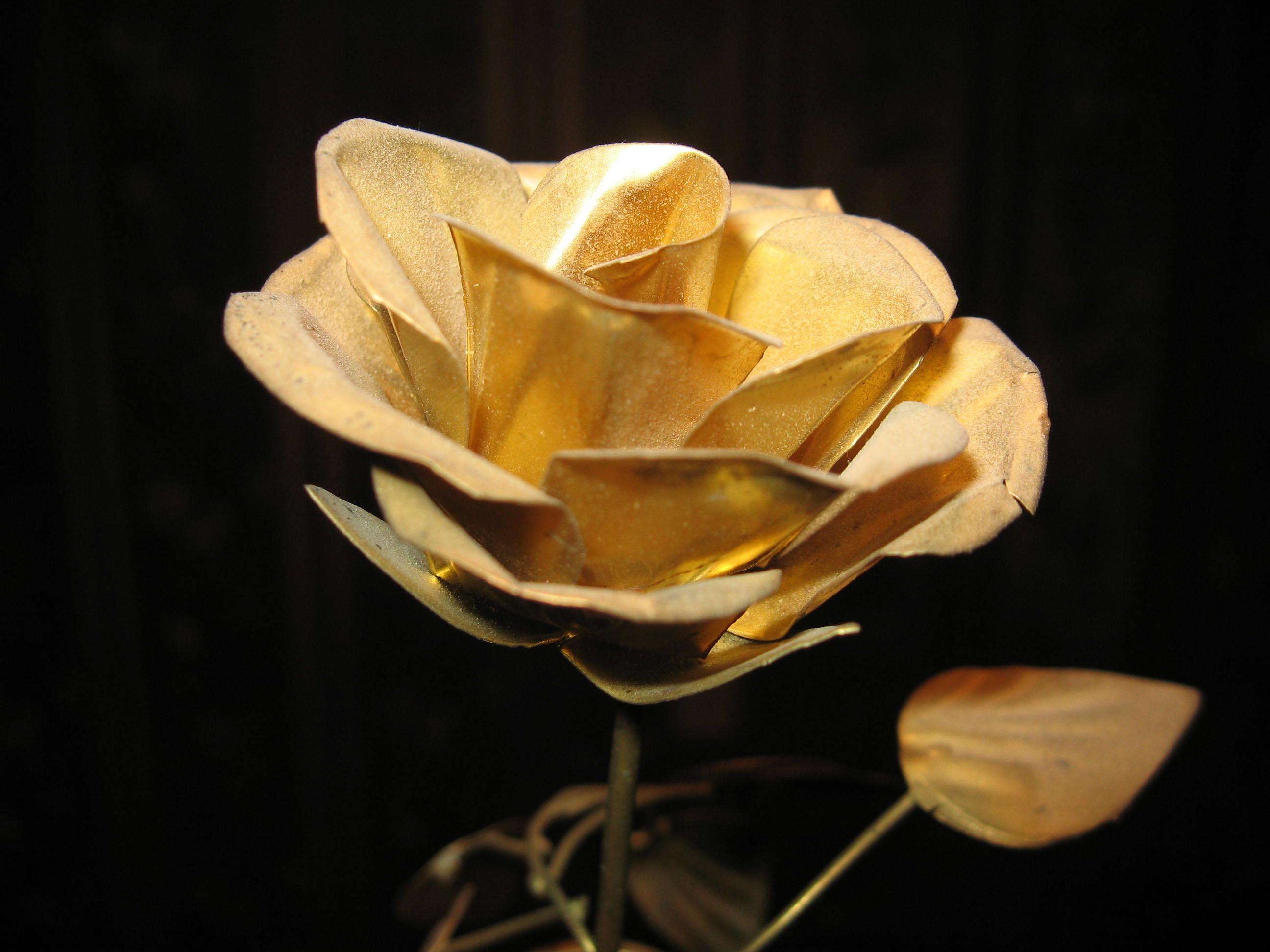 2592x1944 Free download wallpaper downloads computer wallpaper gold rose [2592x1944] for your Desktop, Mobile & Tablet. Explore Gold Flower Wallpaper. Green Flower Wallpaper, Wallpaper with Small Red Flowers, Gold Floral Wallpaper