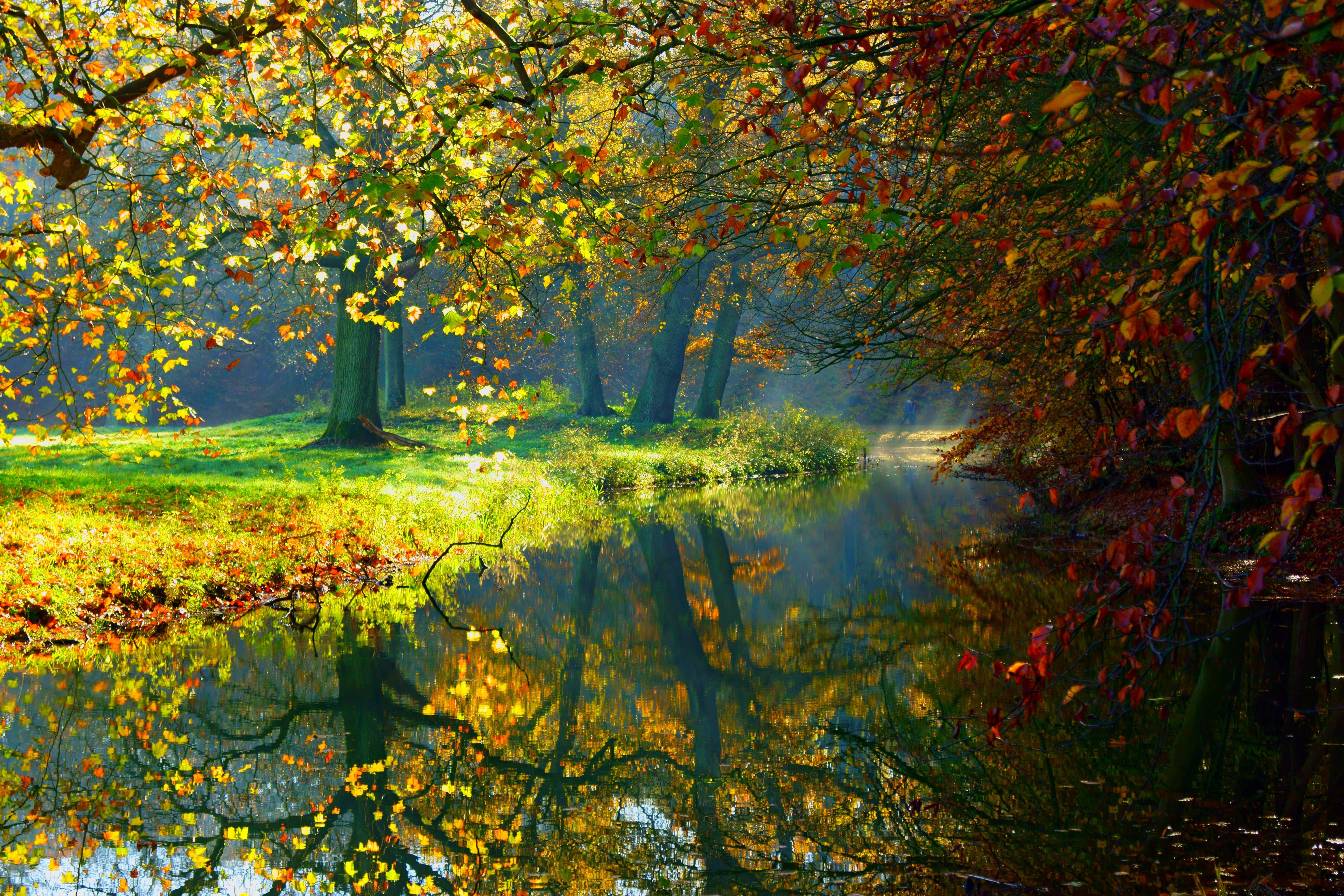 6000x4000 autumn, lake, water, nature, trees, fall, woods, forest, autumn splendor, leaves wallpaper
