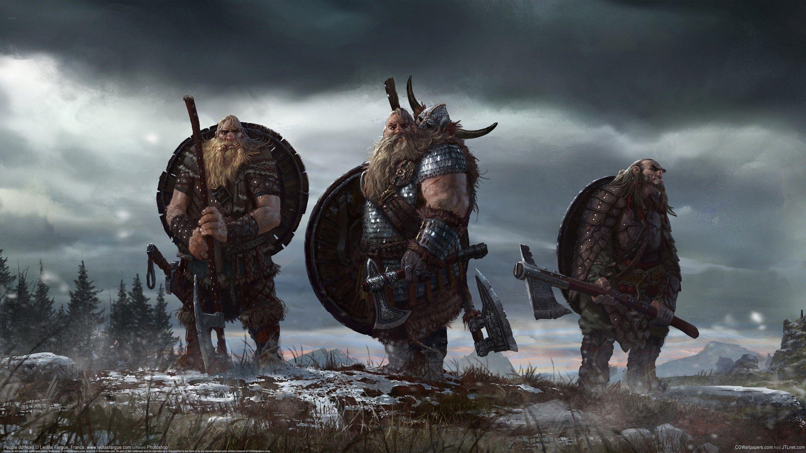2560x1440 Viking Wallpaper HD