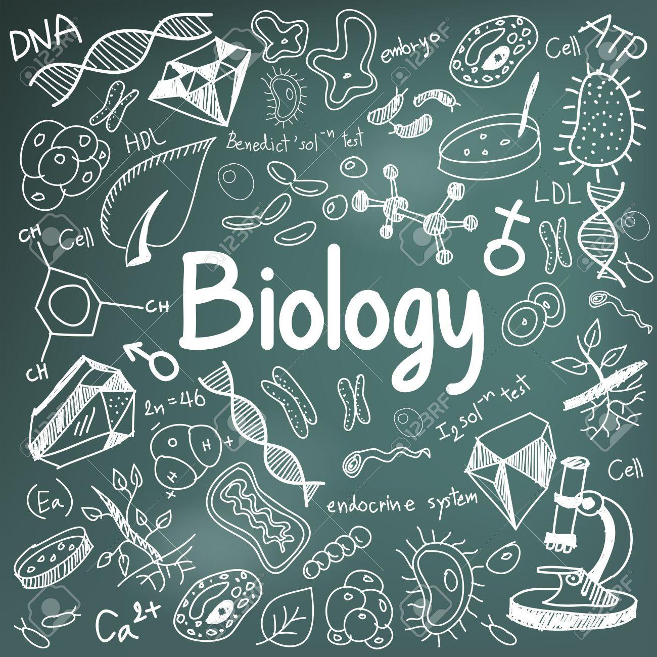 1300x1300 Biology Wallpaper, Background Biology .