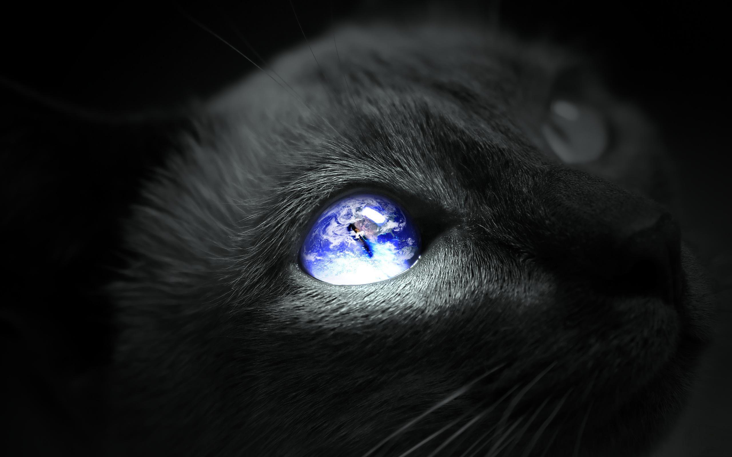 2560x1600 Earth Cat eye wallpaperx1600