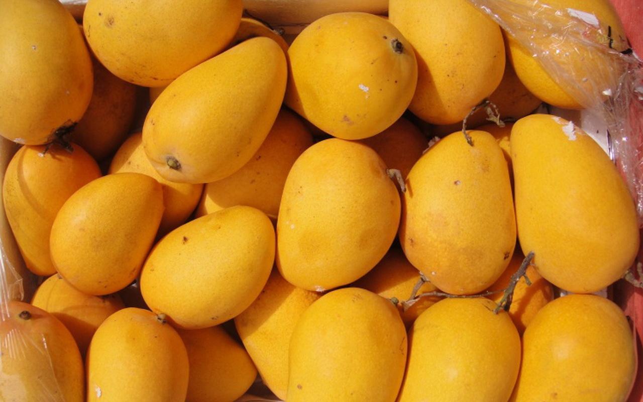 1280x800 Mango Background