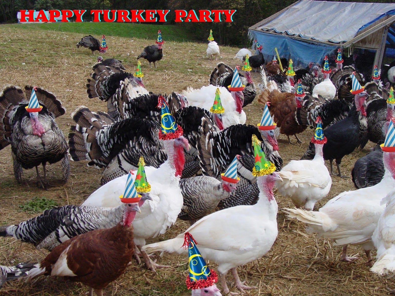 1600x1200 That's The Thing About That: Gobble Gobble Gobble Turkey Party