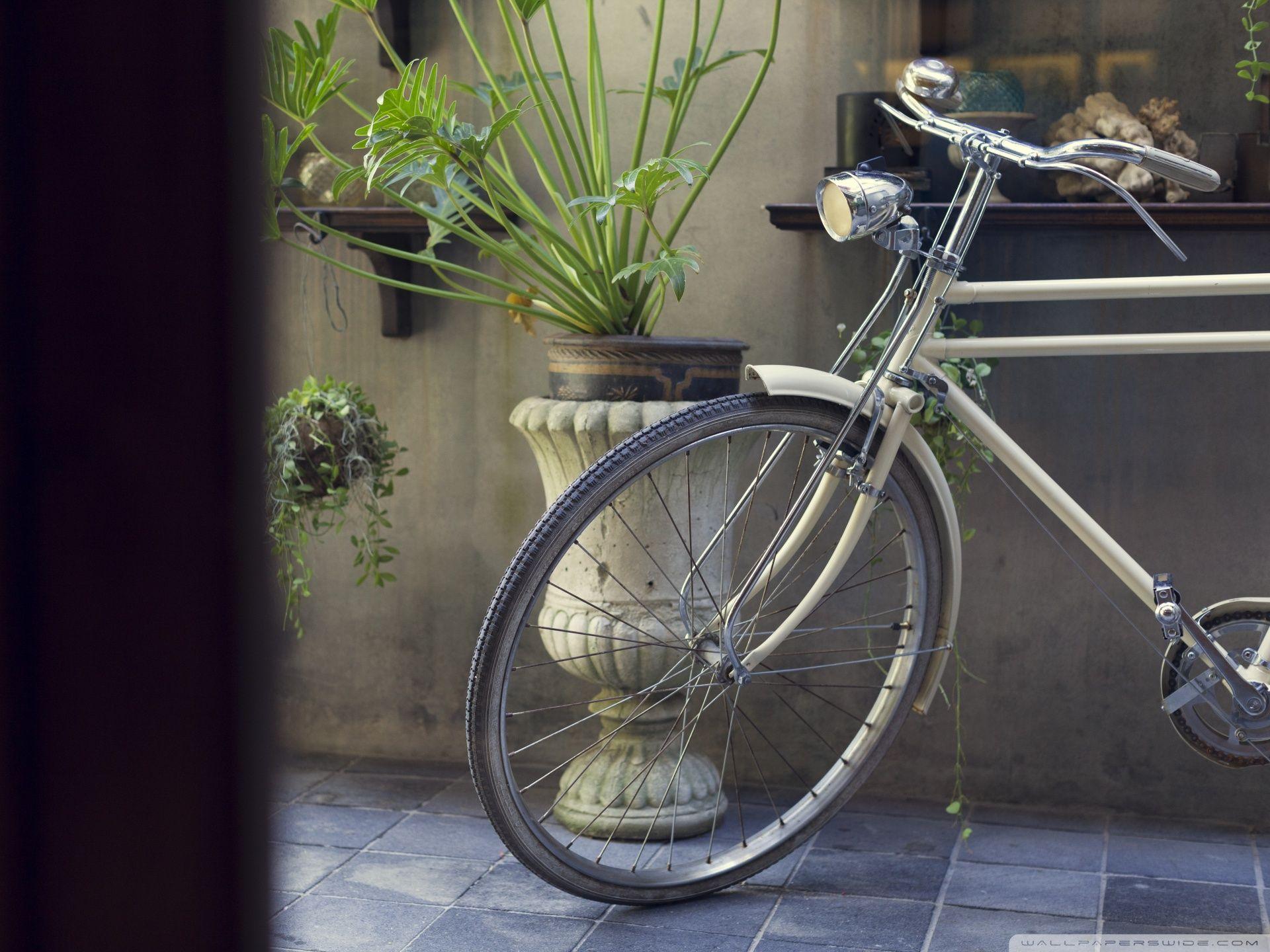 1920x1440 Vintage Bicycle Ultra HD Desktop Background Wallpaper for 4K UHD TV : Widescreen & UltraWide Desktop & Laptop : Tablet