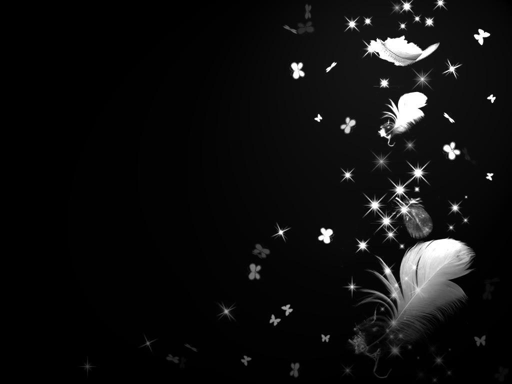 1024x768 Black Feather Wallpaper