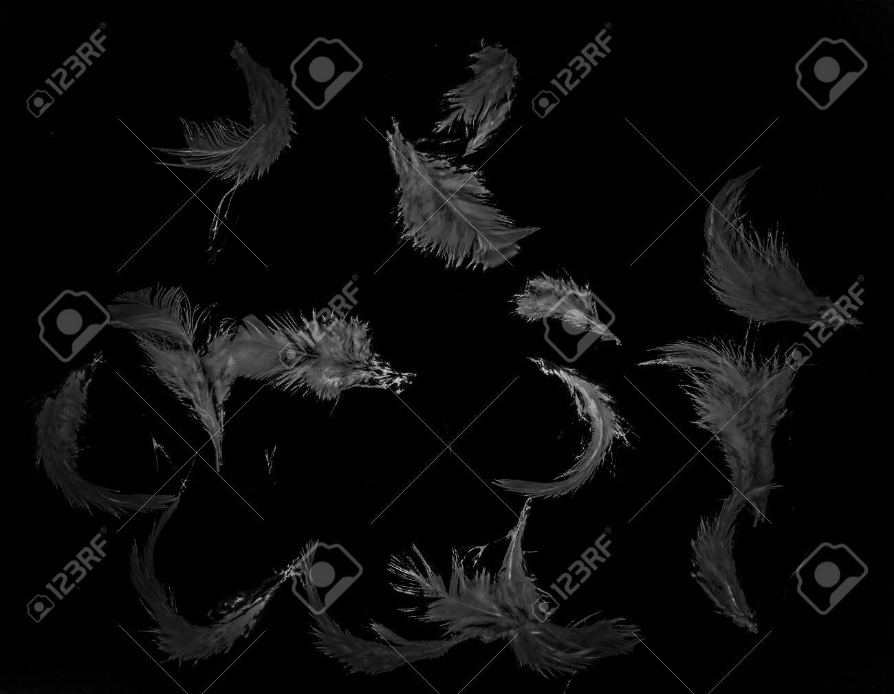 1300x1009 Orange Feather Wallpaper