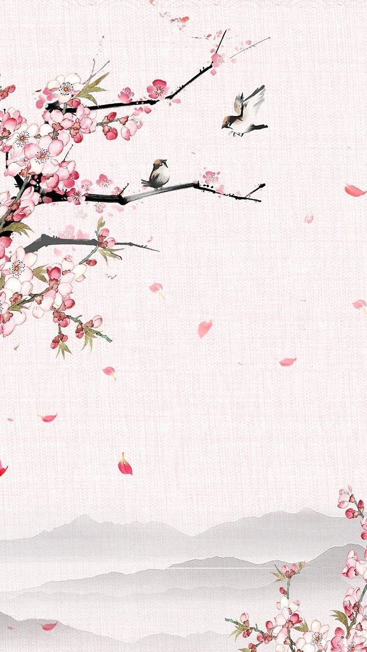 720x1280 Cherry blossoms on Galaxy Store. iPhone background wallpaper, Pastel background wallpaper, Flower background