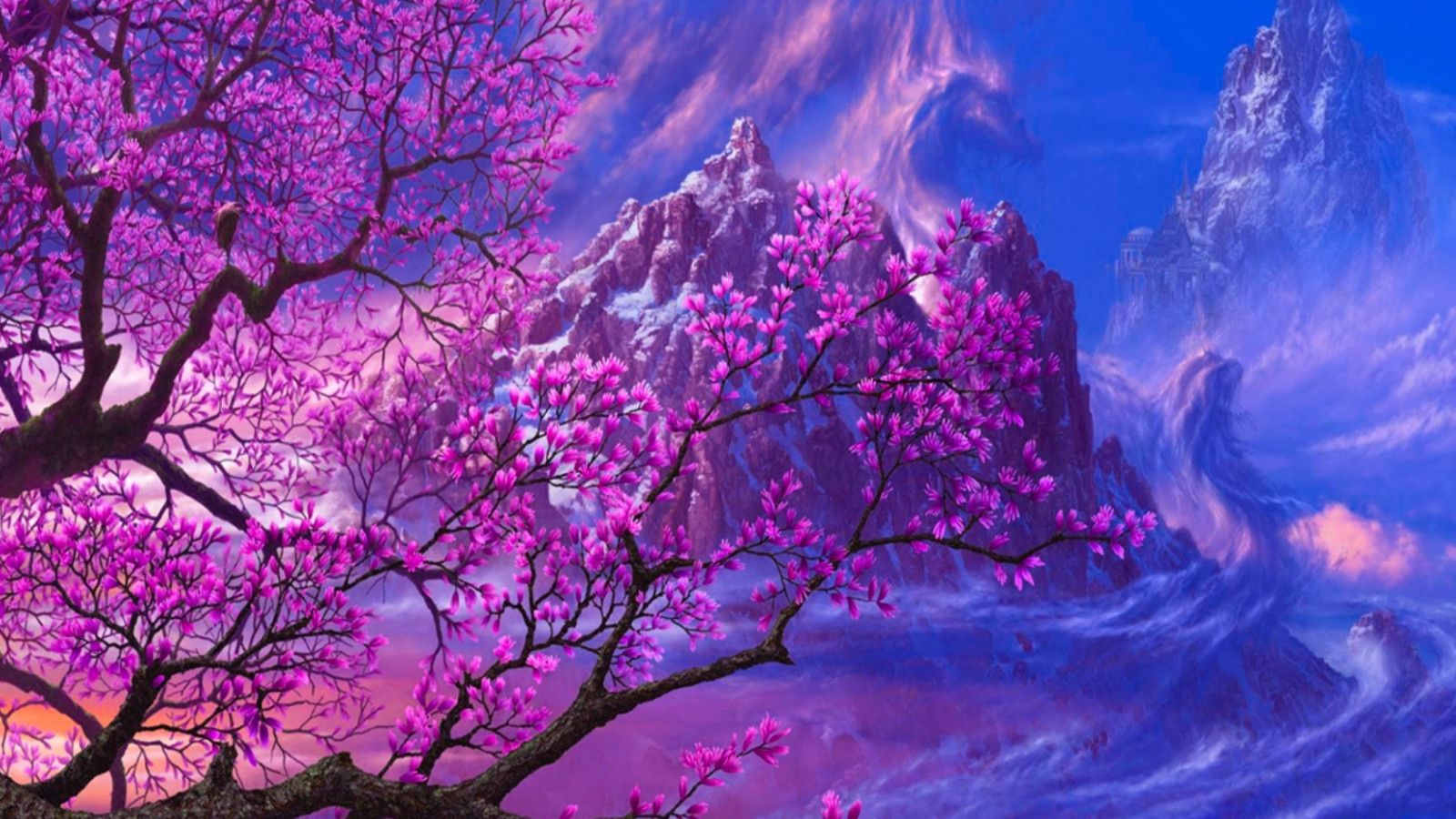 1600x900 Sakura Wallpaper 1680x1050 56914
