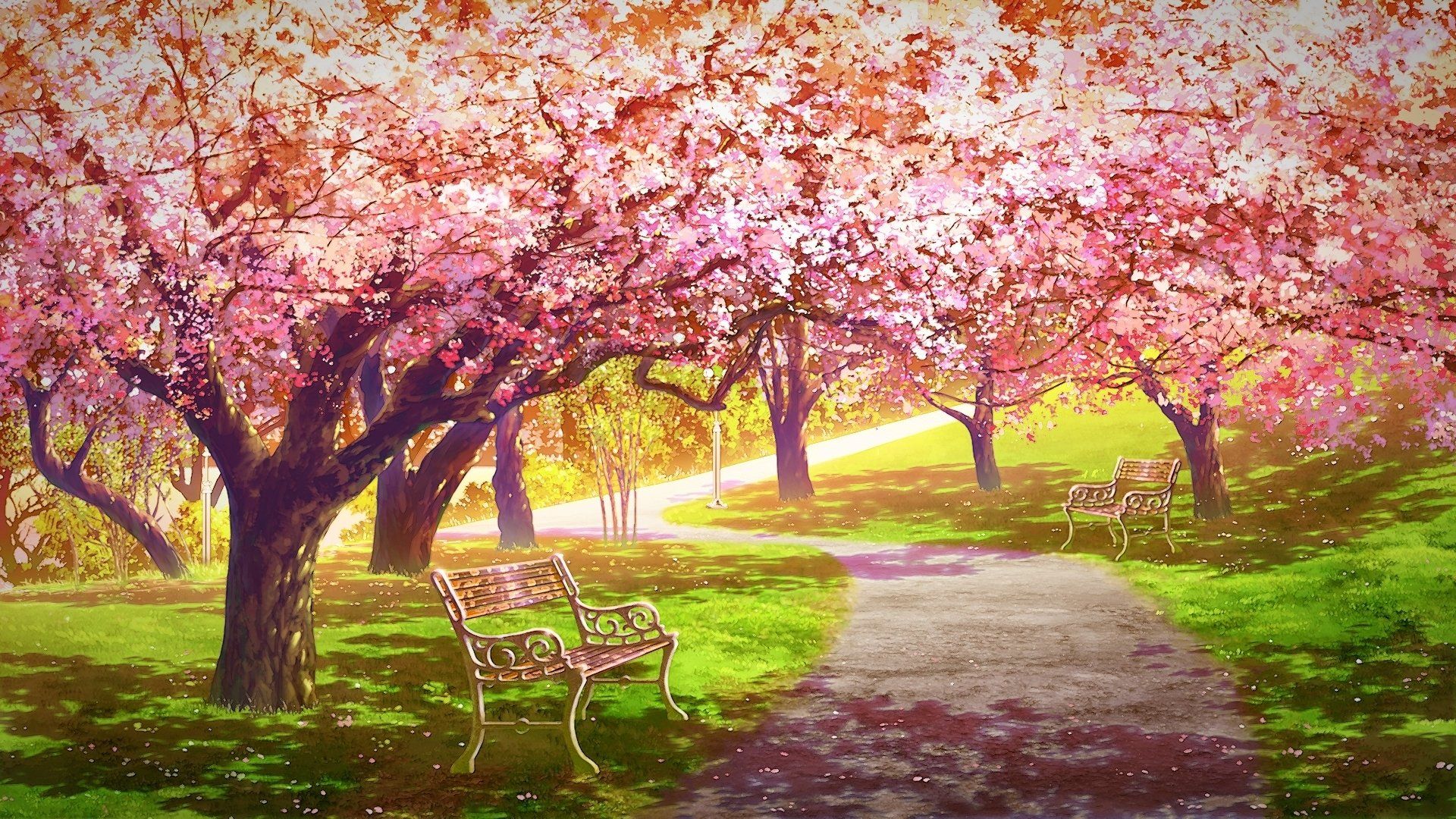 1920x1080 Blossom Path: Stunning Sakura Anime HD Wallpaper