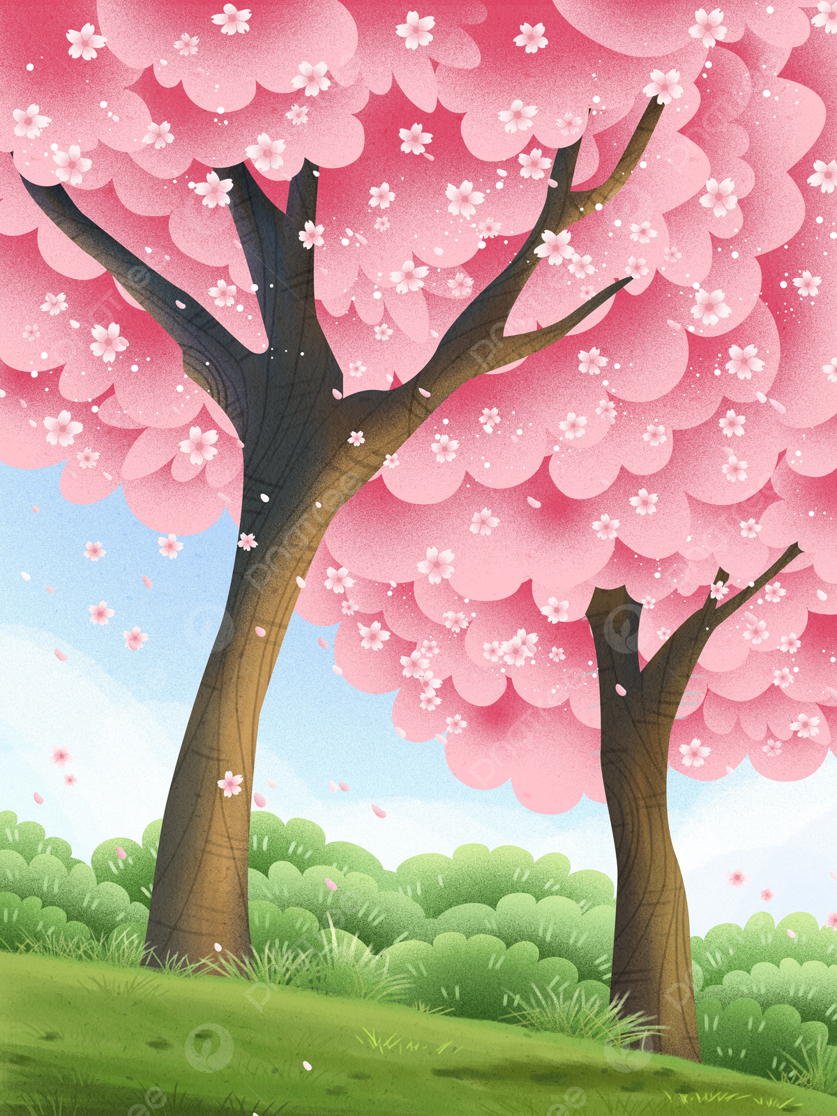 1200x1600 Hand Drawn Fresh Cherry Blossom Festival Background Design Wallpaper Image For Free Download
