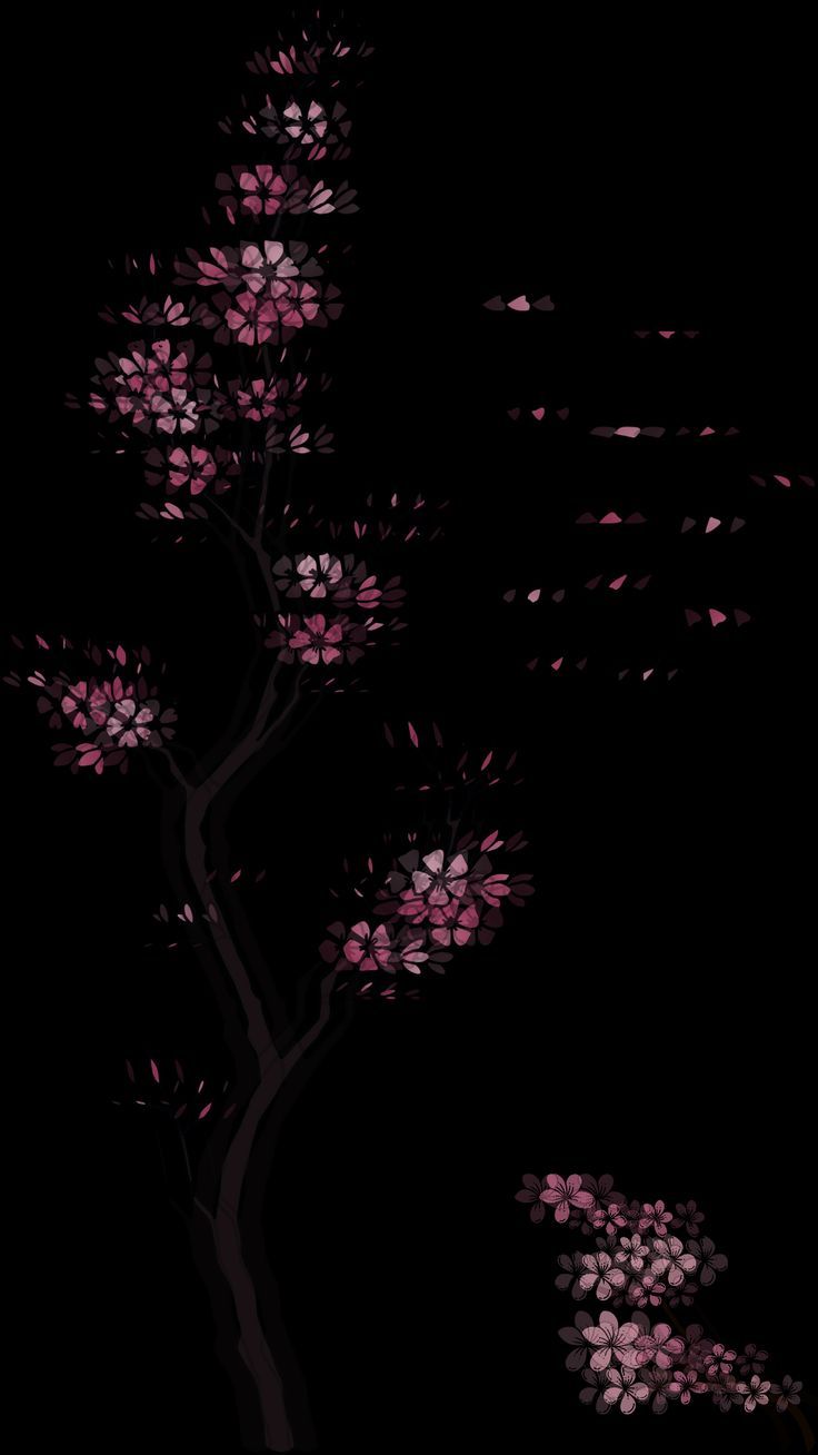 736x1308 Sakura Dark Wallpaper. Pink and Black Floral Background. Pink wallpaper tablet, Cherry blossom drawing