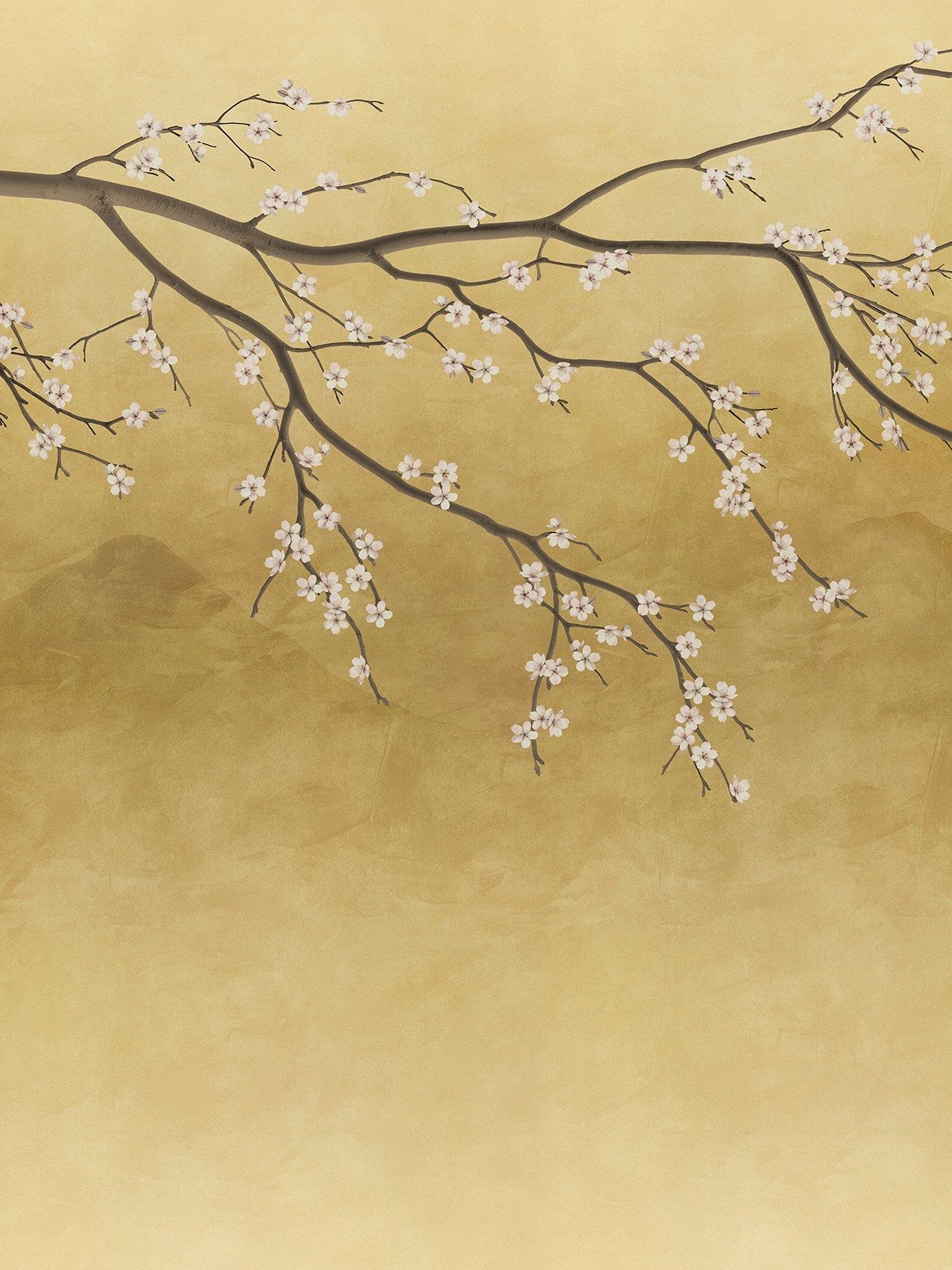 1260x1680 Sakura Kin Wallpaper