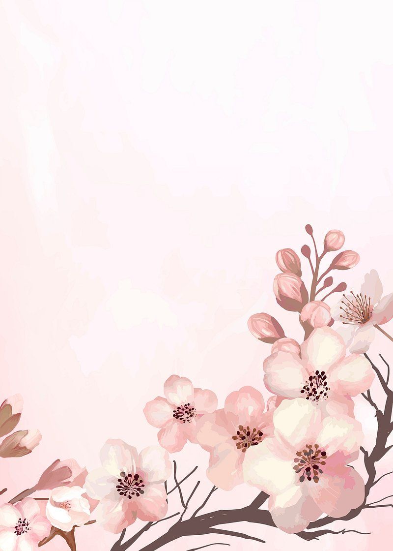 800x1120 Hand drawn cherry blossoms pink