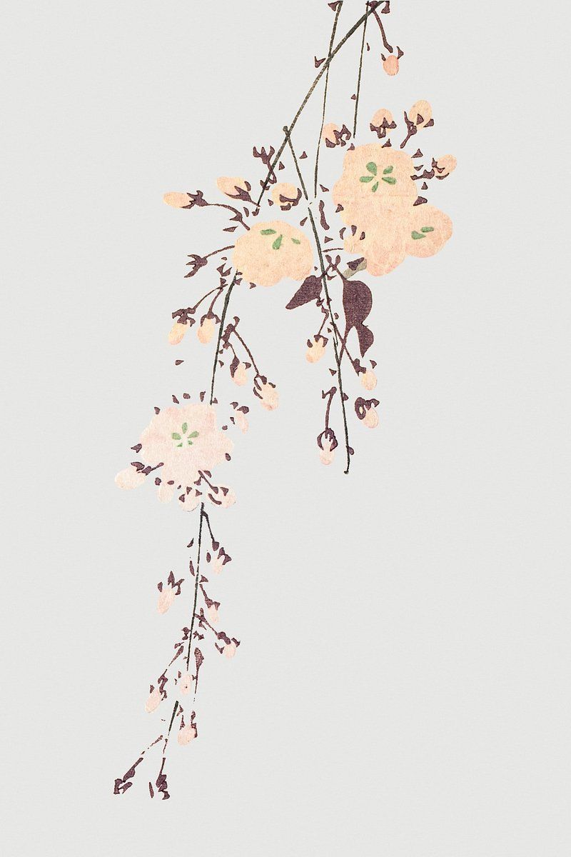 800x1200 Blue cherry blossom background design. Premium PNG Sticker