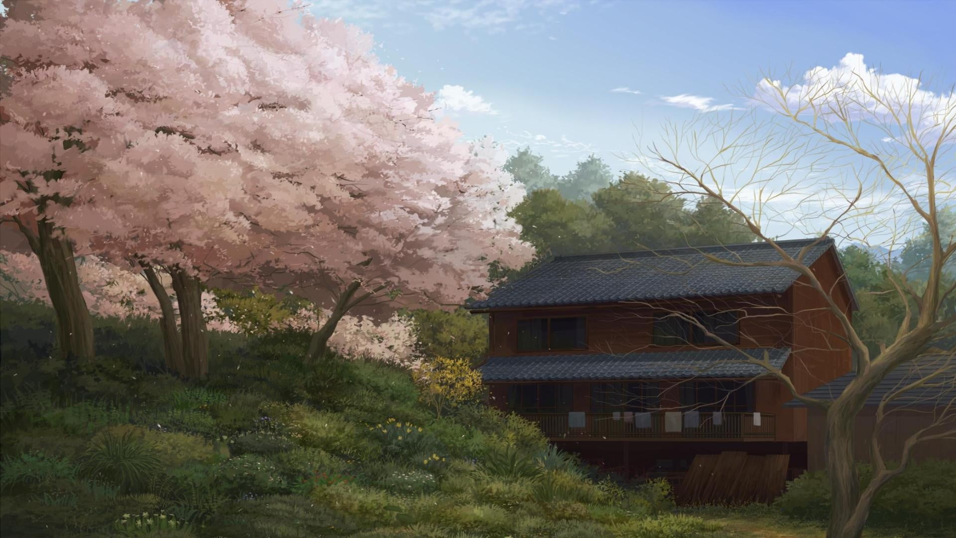 1920x1080 Pink sakura trees near the wooden house painting, nature, drawing, trees, house HD wallpaper