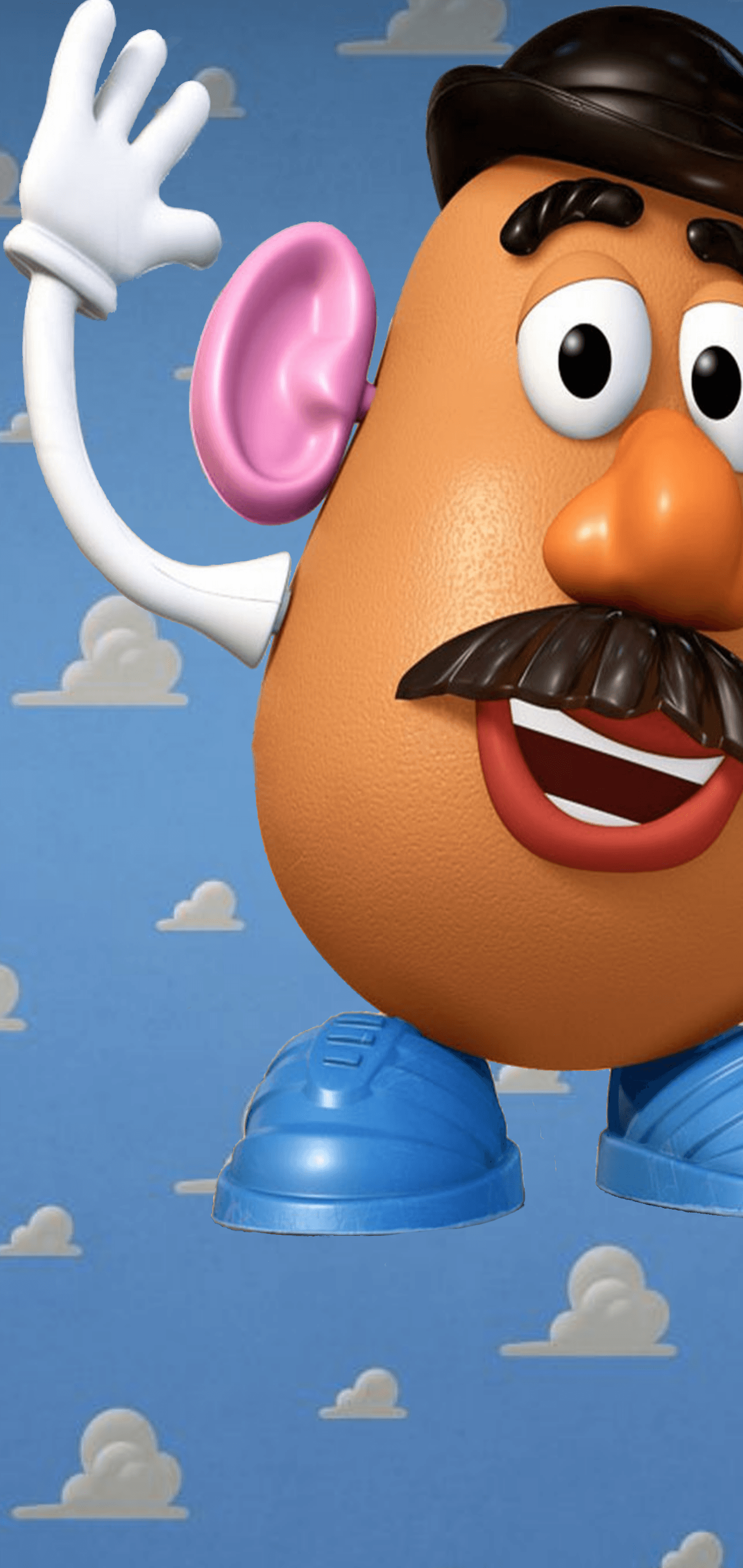 1440x3040 Mr Potato Head Wallpaper