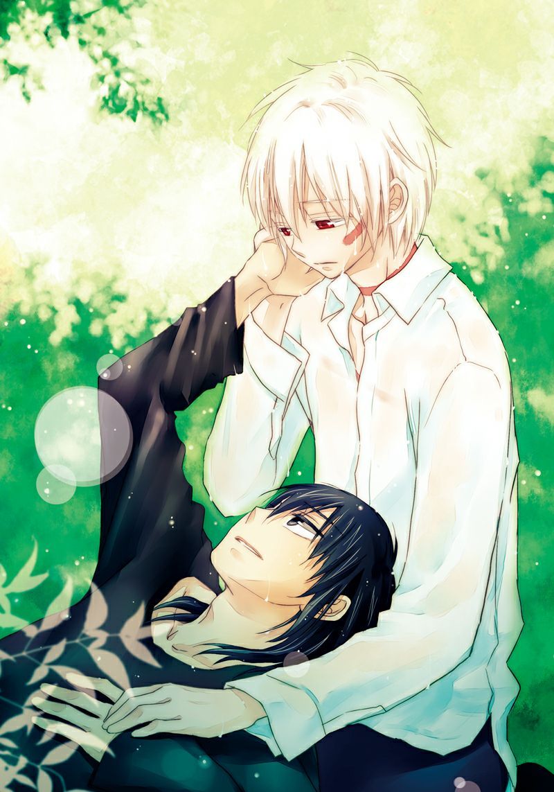 800x1143 The Weird and Wonderous World of Shipping. 6- NezuShi: Nezumi x Shion