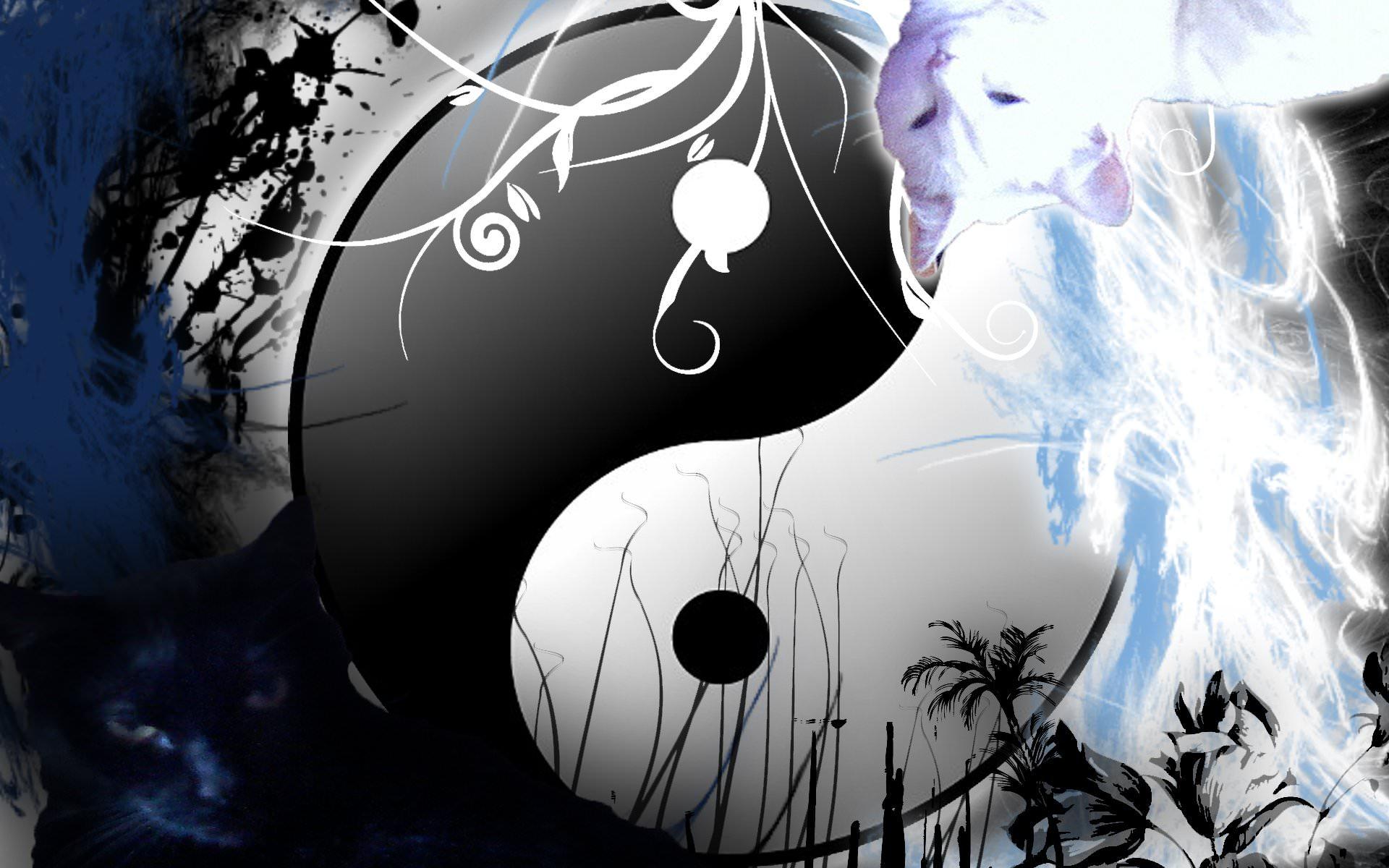 Yin yang wallpaper