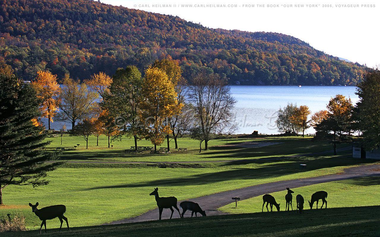 1280x800 Upstate NY Wallpaper. Funny Wallpaper, Awesome Funny Wallpaper and Funny Christmas Wallpaper