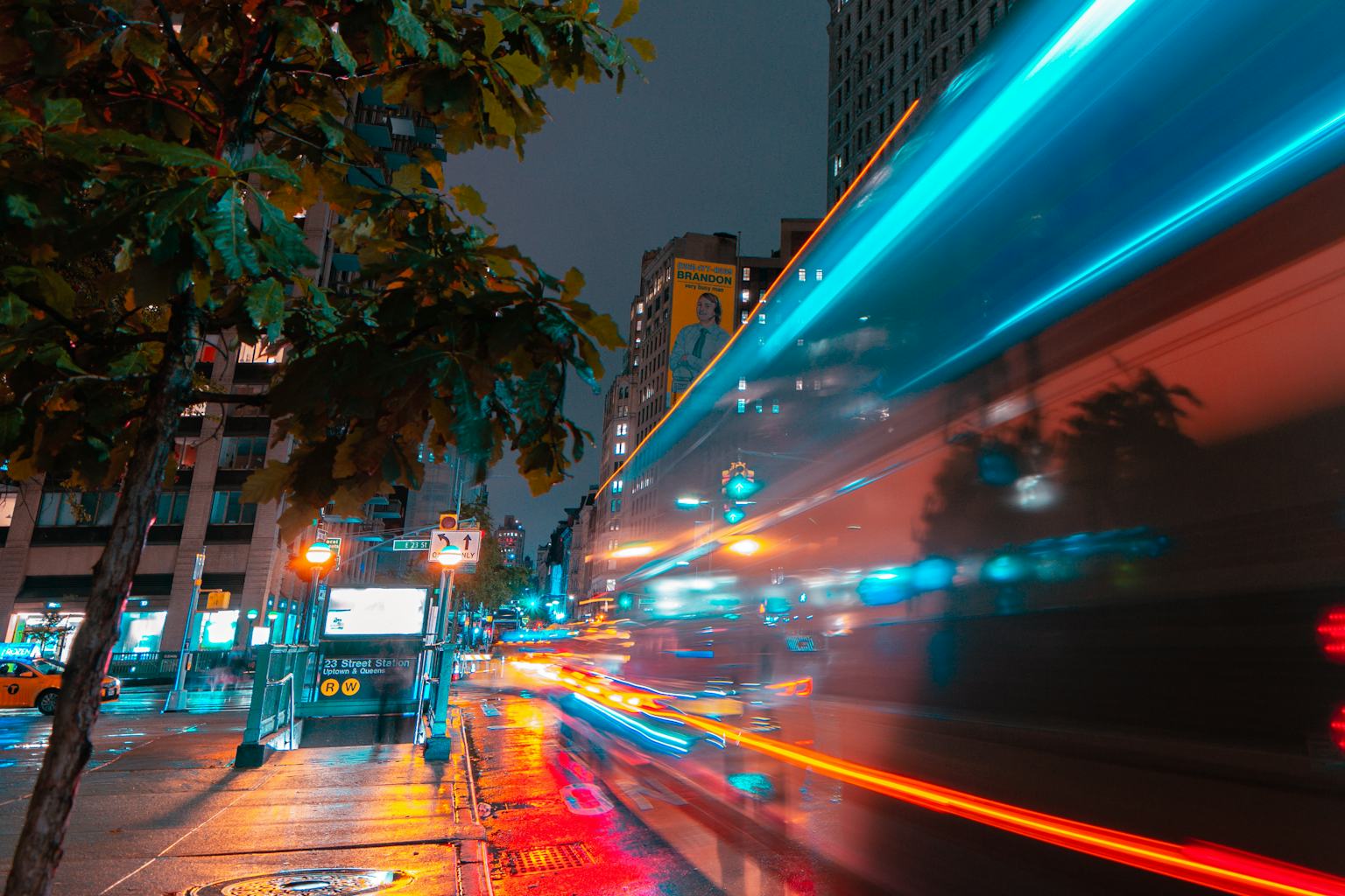 1536x1024 Light pollution is disrupting the seasonal rhythms of plants and trees, lengthening pollen season in US cities