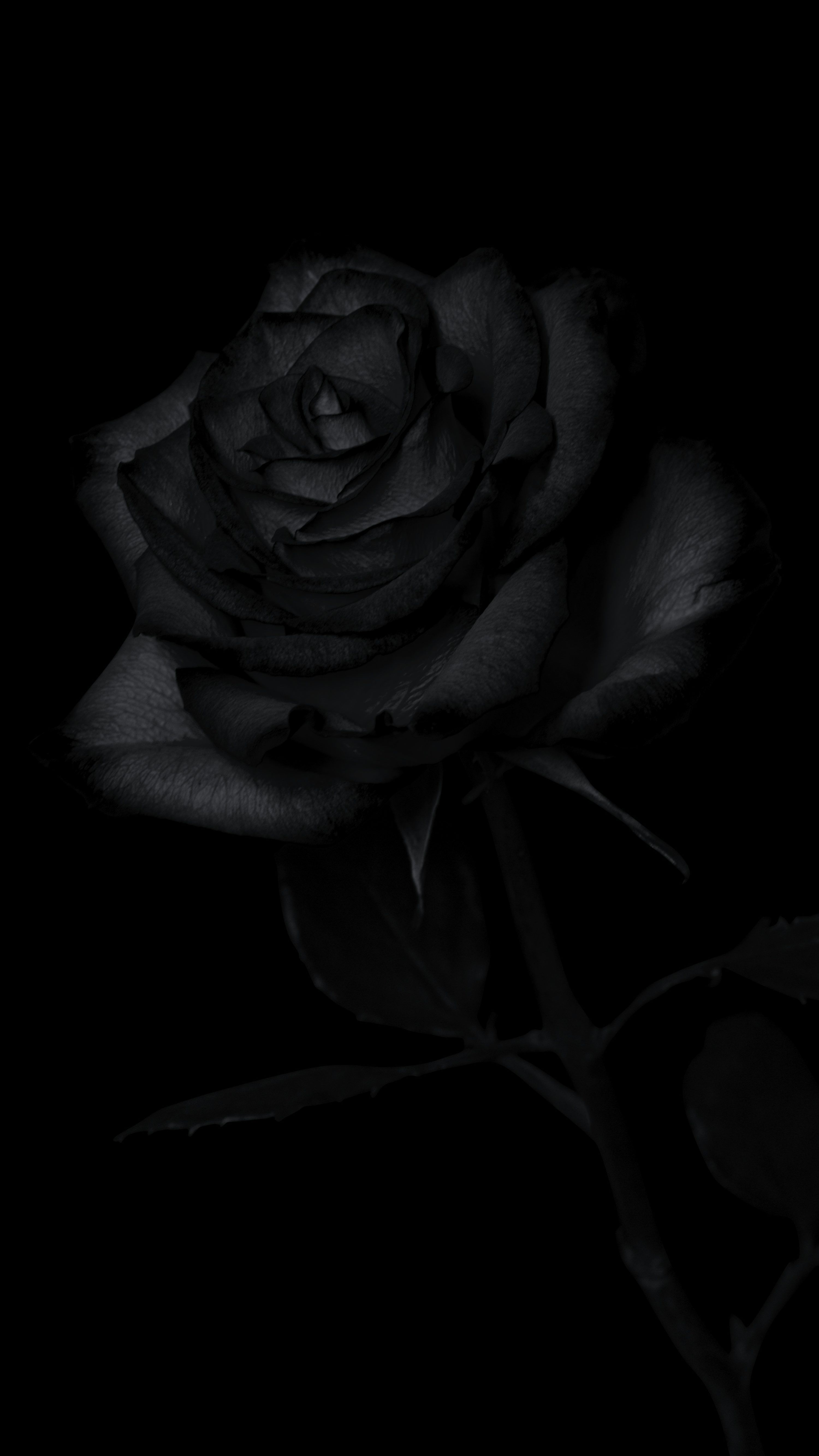 3000x5333 iPhone Dark Picture. Download Free Image