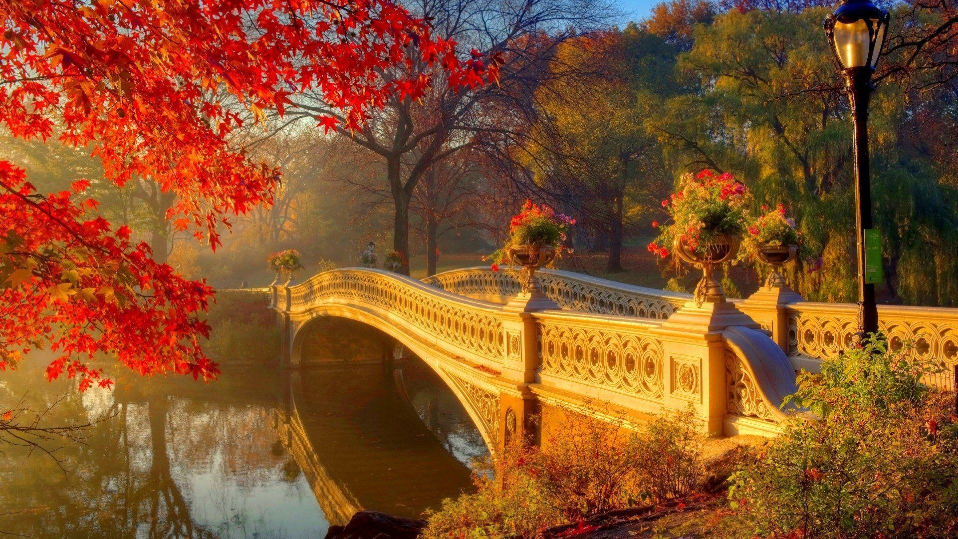 1920x1080 London Hyde Park Autumn
