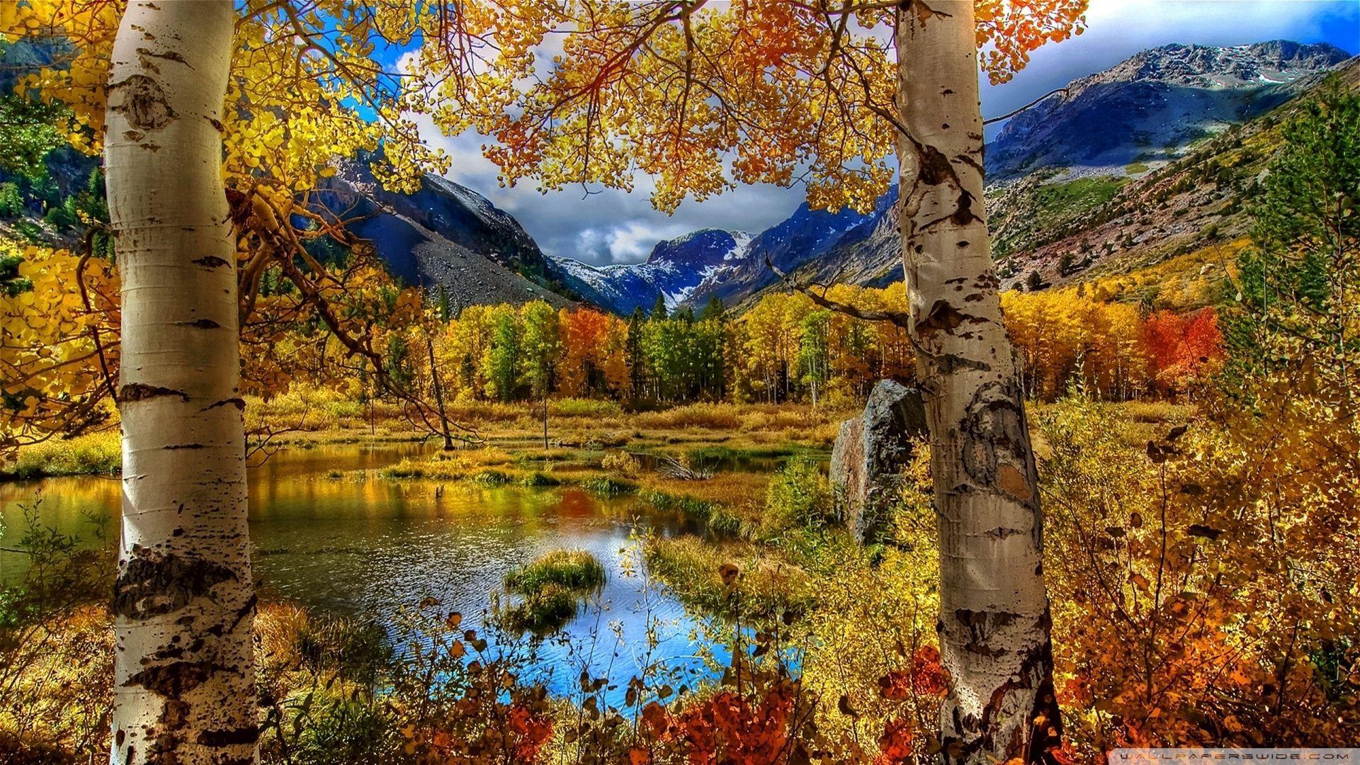 1920x1080 London Autumn HD Wallpaper