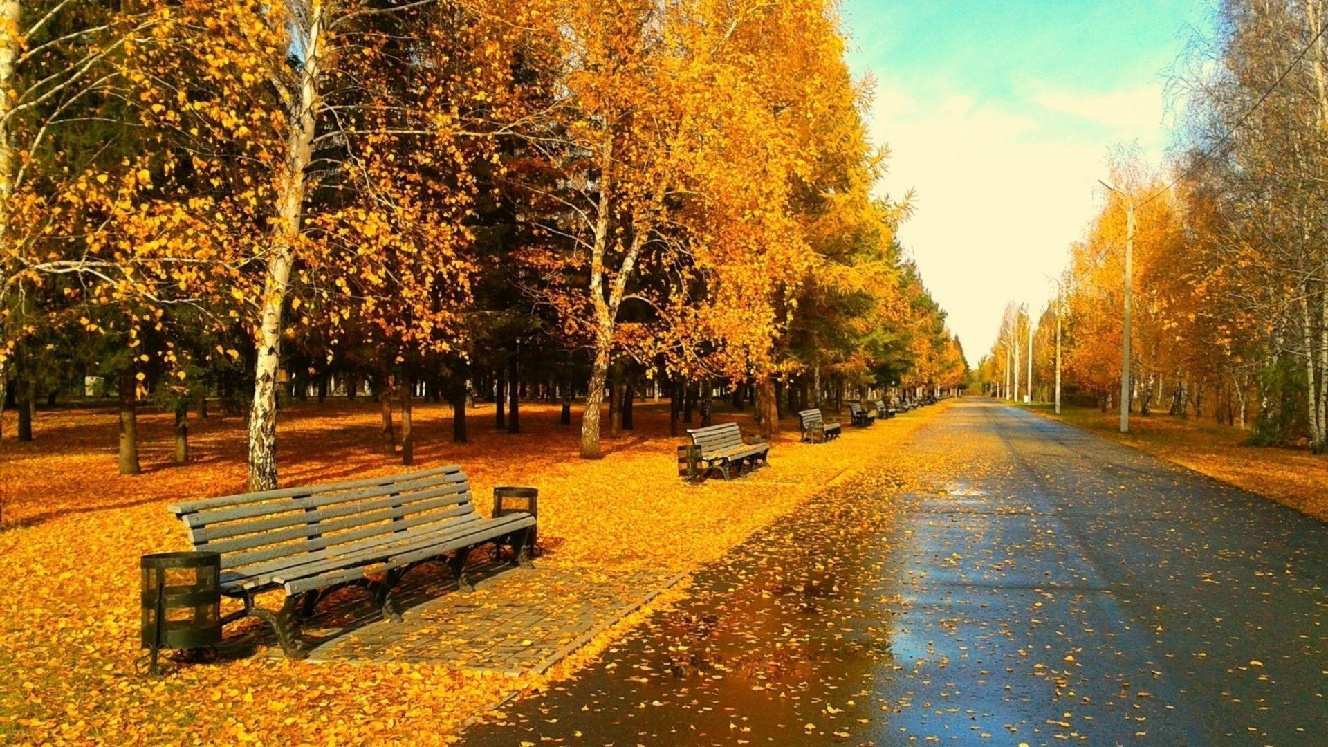 1920x1080 London In Autumn Wallpaper