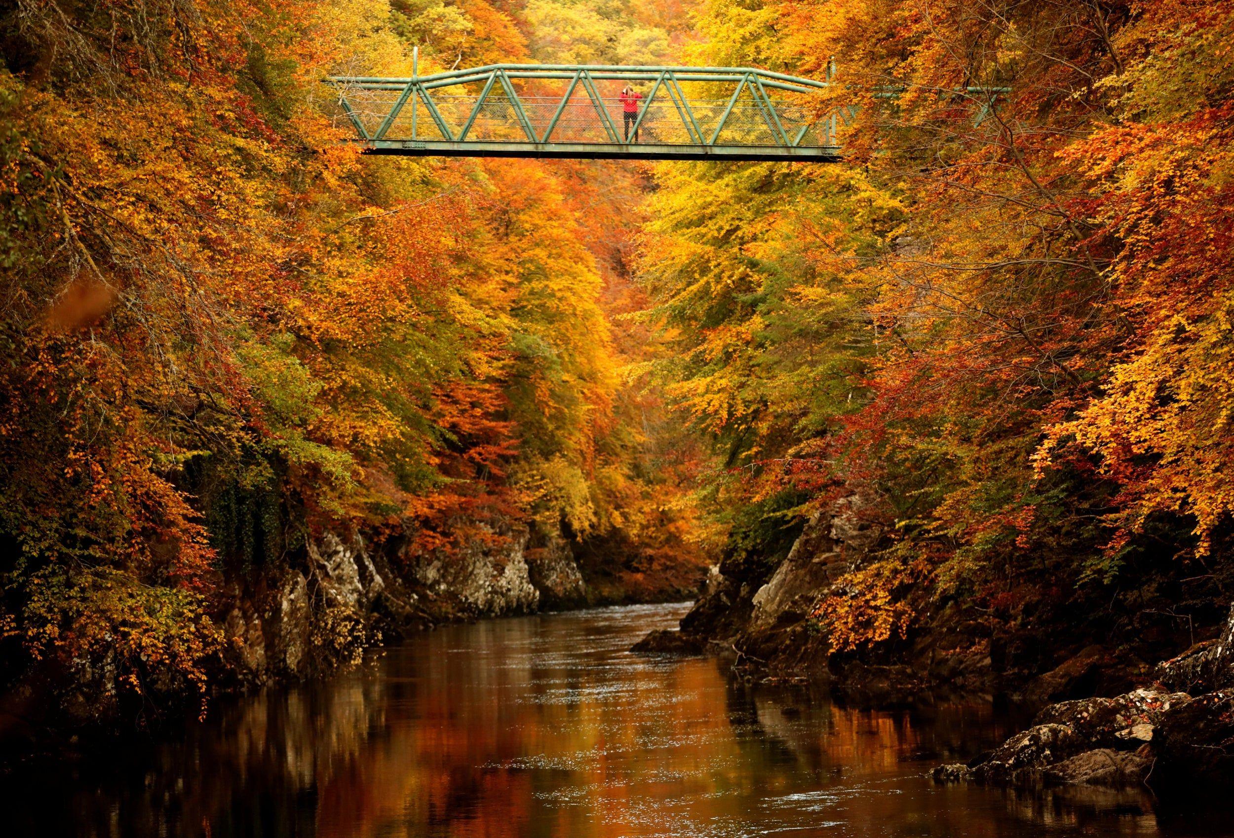 2500x1699 of the most spectacular image of autumn in the UK. London Evening Standard