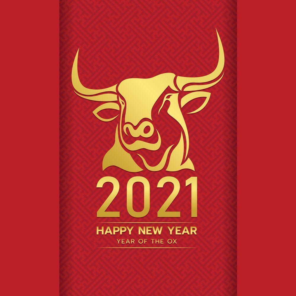 Baocicco 12x10ft Chinese New Year of 2021 Backdrop Year of The Ox Chinese Calligraphy Carton Ox White Background Spring Festival Party Decorations Chinese Calendar New Year Family-Together Party