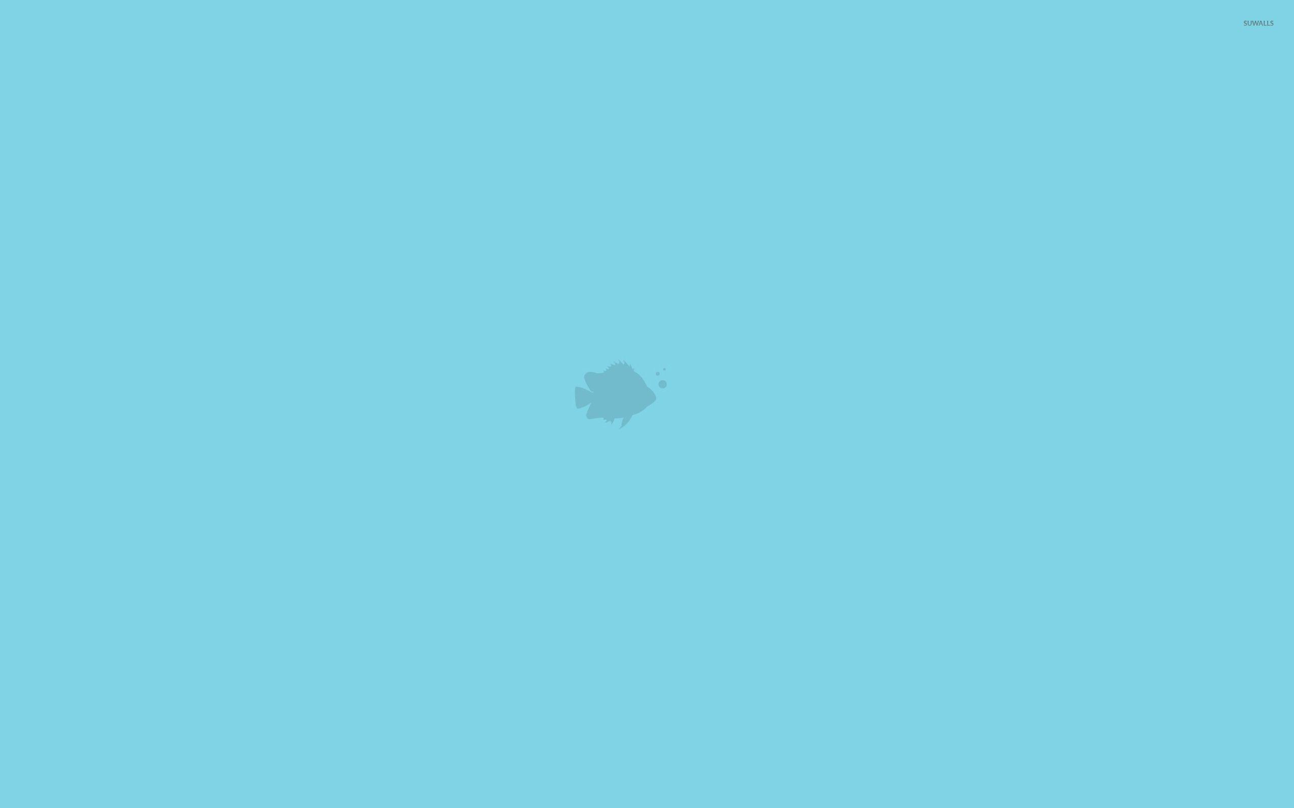 2560x1600 Fish [5] wallpaper wallpaper