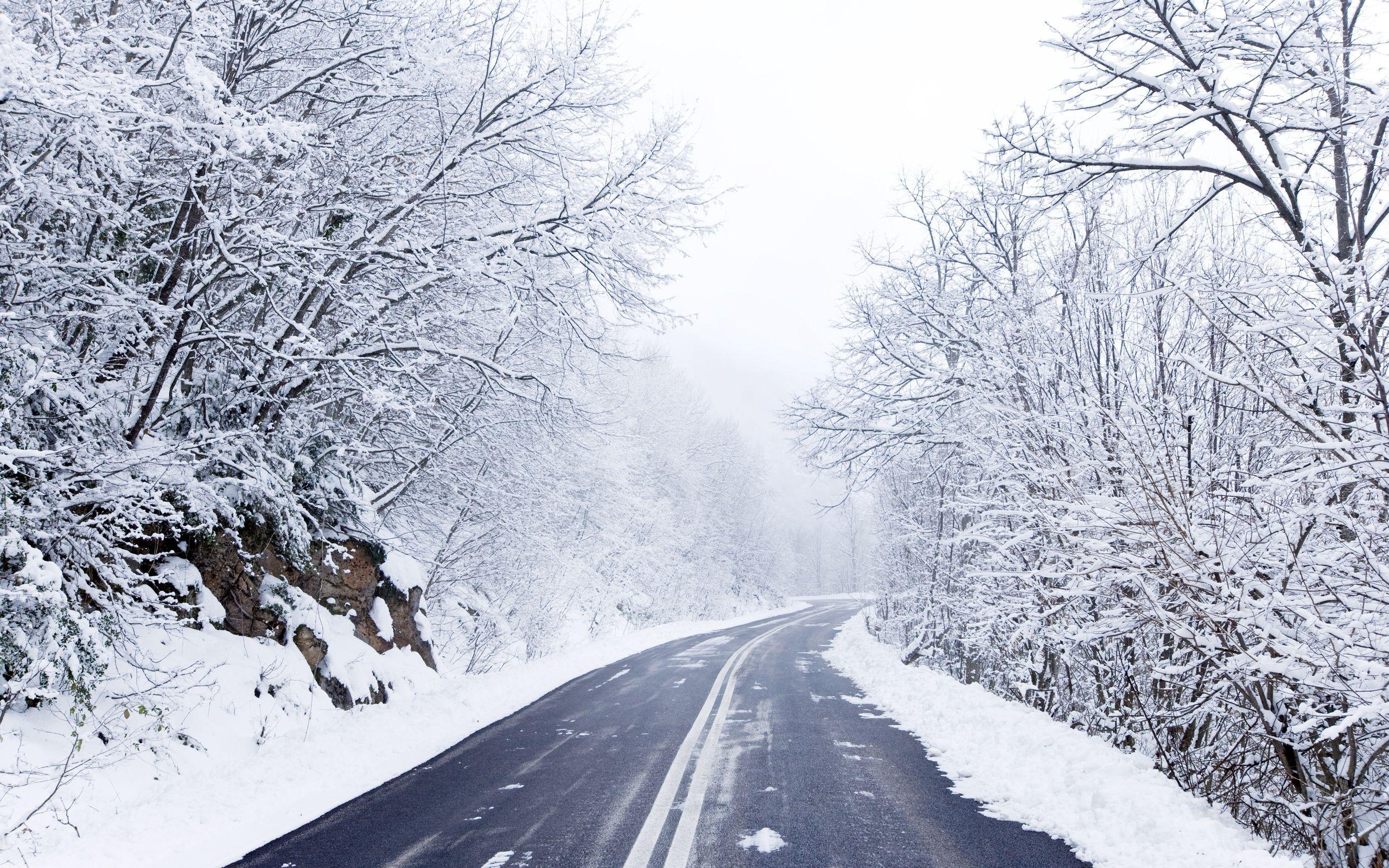 2560x1600 Most viewed Cold Winter wallpaperK Wallpaper