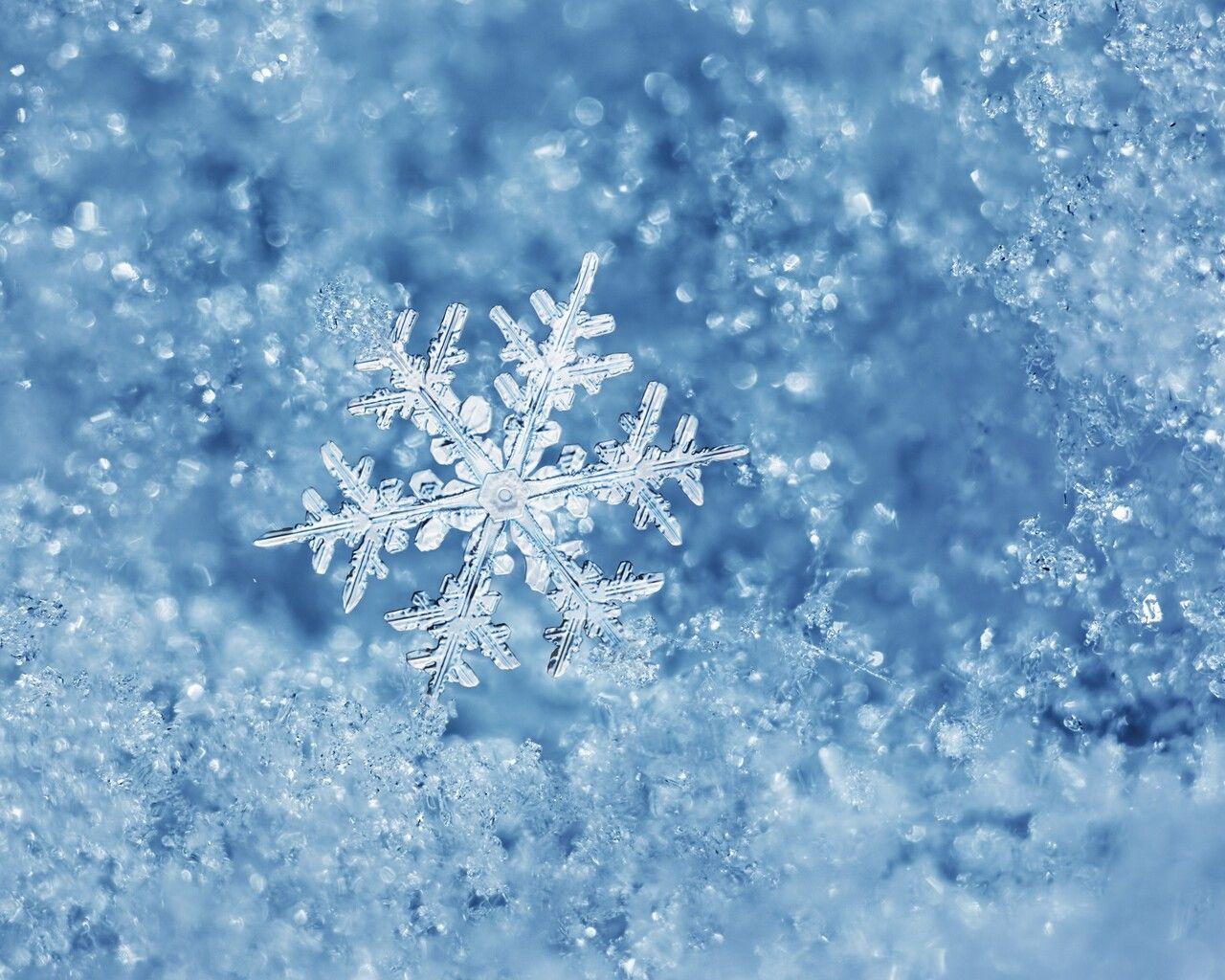 Cold Winter Wallpapers - Top Free Cold Winter Backgrounds - WallpaperAccess