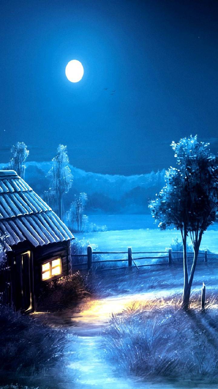 720x1280 Cold winter night wallpaper