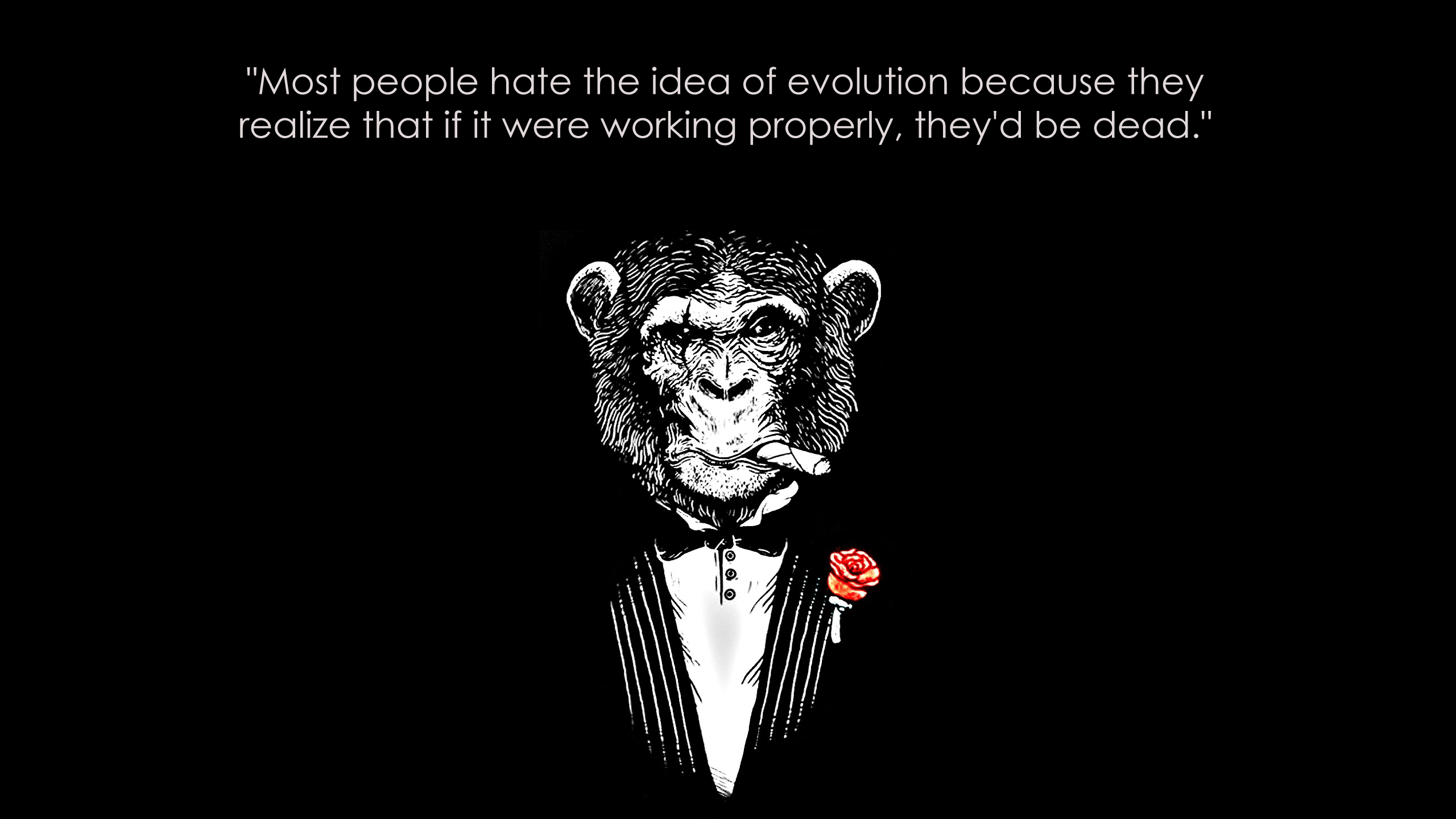 2560x1440 Black and white quotes monkeys black background wallpaperx1440