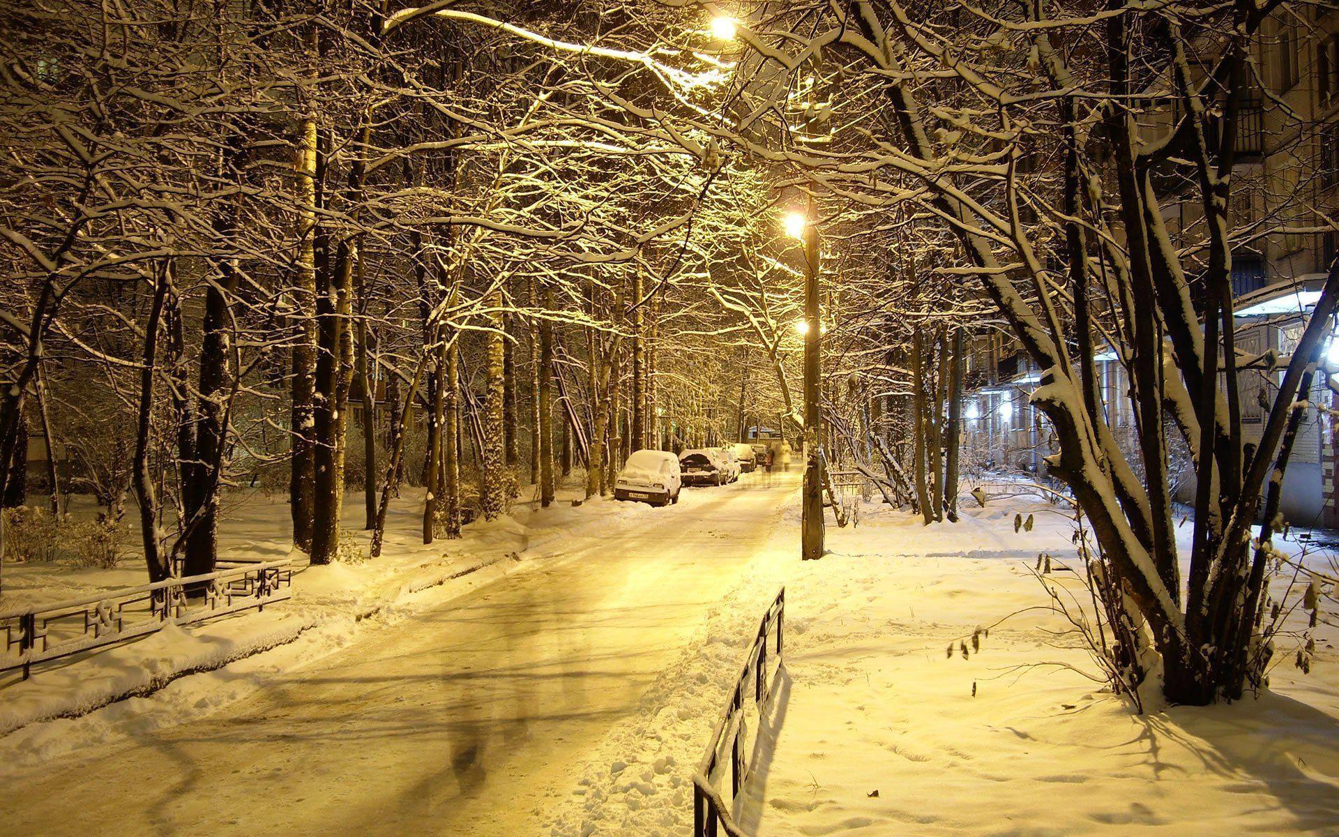 1920x1200 Winter Night Wallpaper