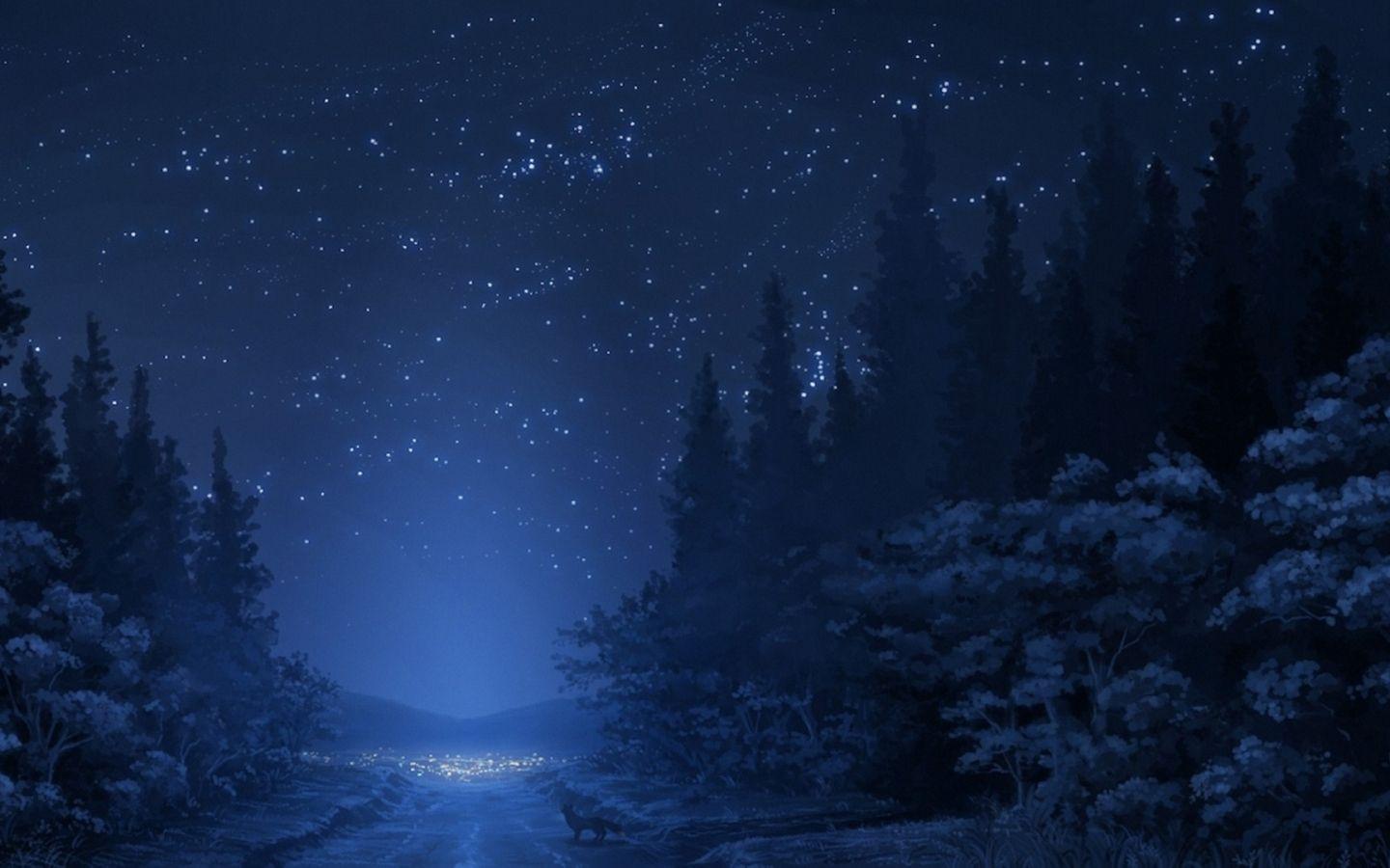1440x900 Winter Night Sky Wallpaper