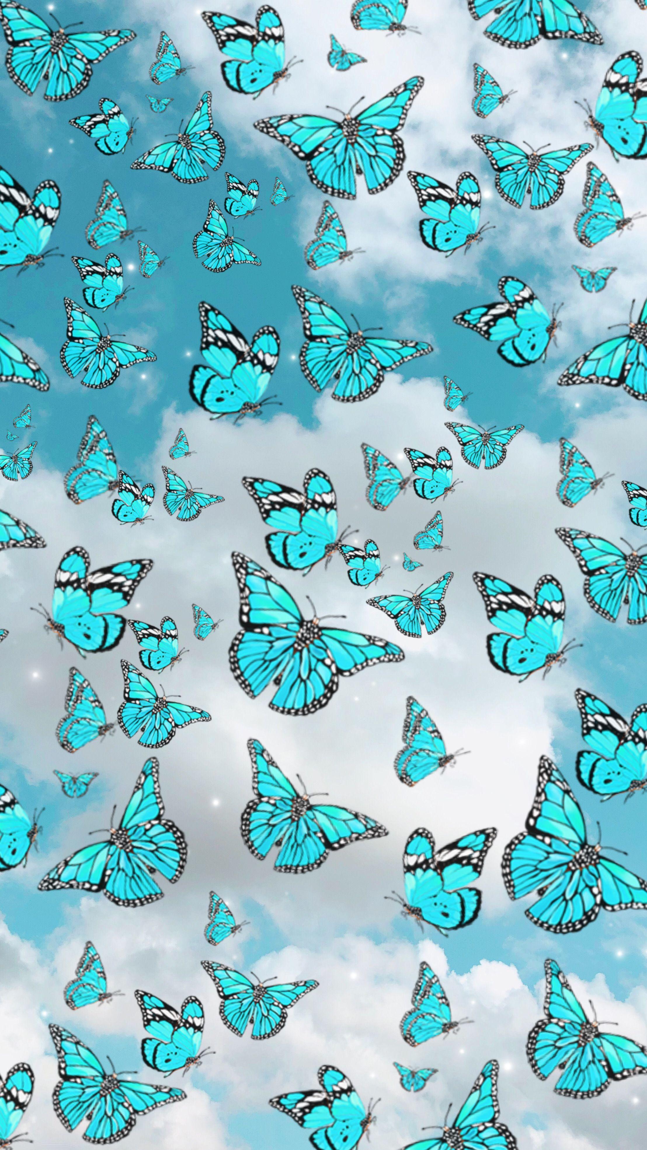 Teal Butterfly Wallpapers - Top Free Teal Butterfly Backgrounds