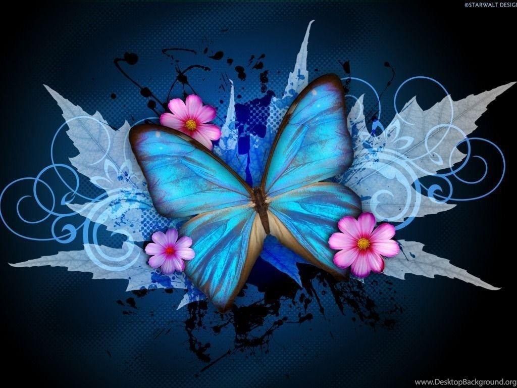 Teal Butterfly Wallpapers - Top Free Teal Butterfly Backgrounds