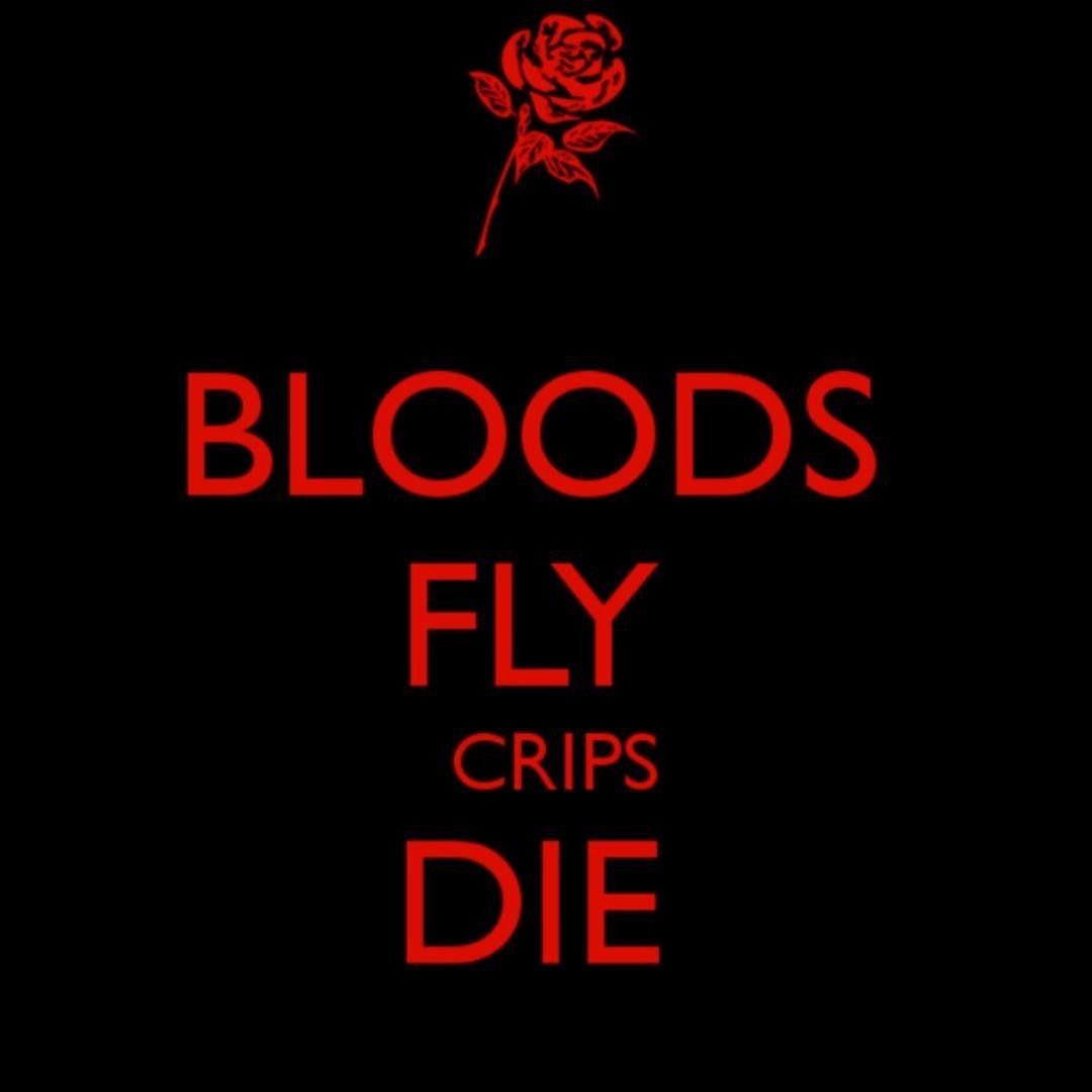 1080x1080 Bloods Fly Crips Die Wallpaper Free HD Wallpaper