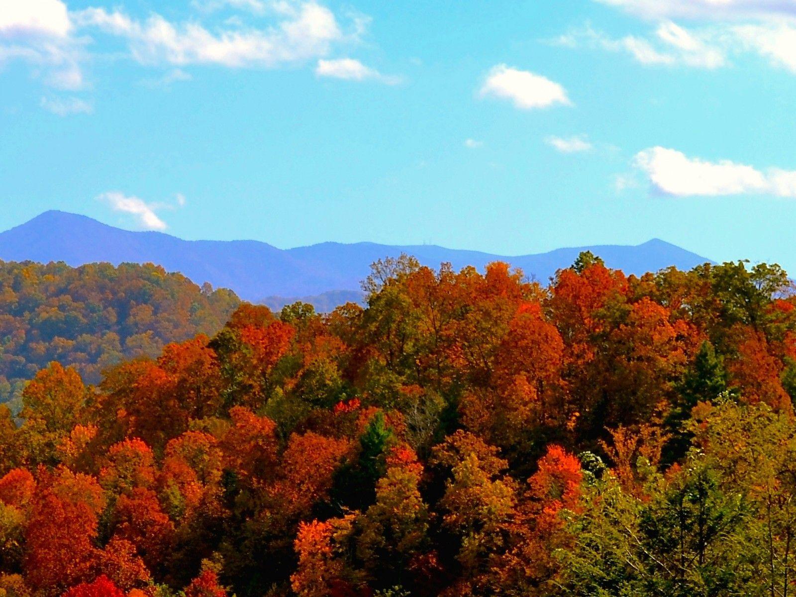 1600x1200 Fall North Carolina Mountains HD Wallpaper