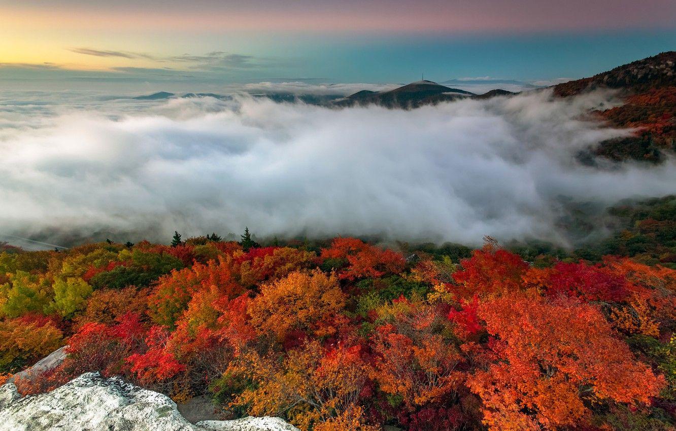 1332x850 Wallpaper autumn, forest, trees, mountains, fog, stones, morning, USA, North Carolina image for desktop, section пейзажи