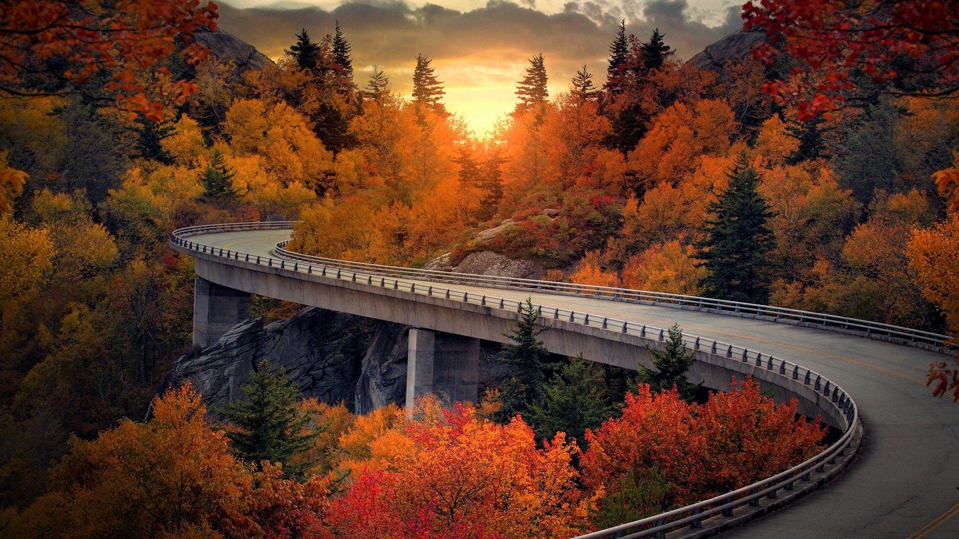 1920x1080 North Carolina Wallpaper Mountain State Park Wallpaper & Background Download