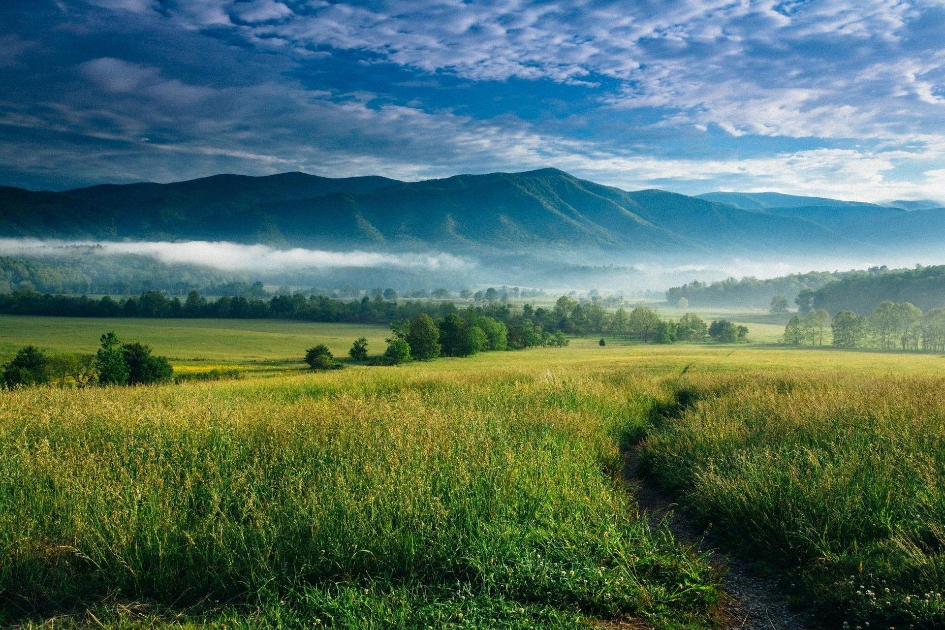 1920x1280 nature, Landscape, Mountain, Sunrise, Mist, Valley, Trees, Clouds, North Carolina Wallpaper HD / Desktop and Mobile Background